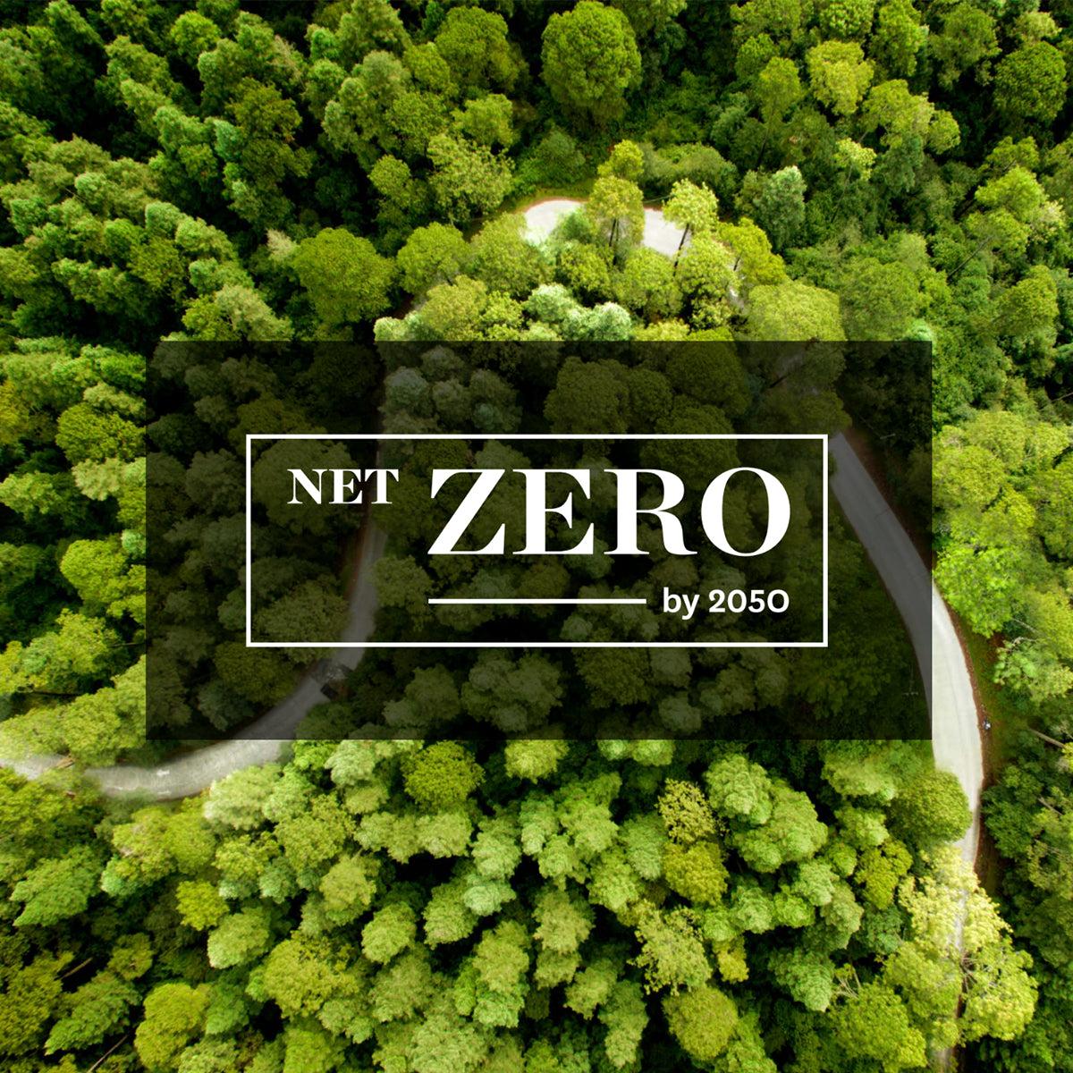 Net Zero by 2025