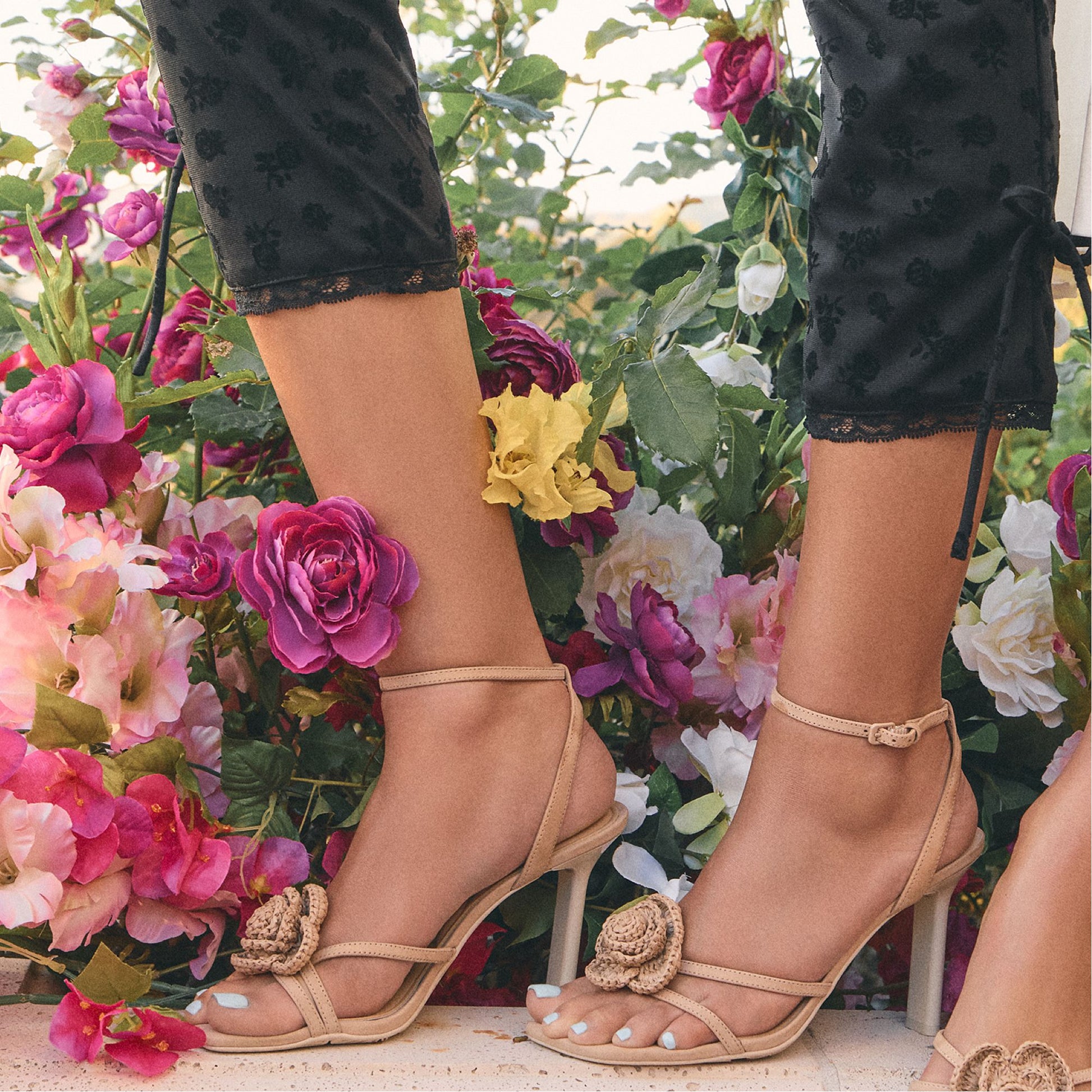 Product media for Wildblossom