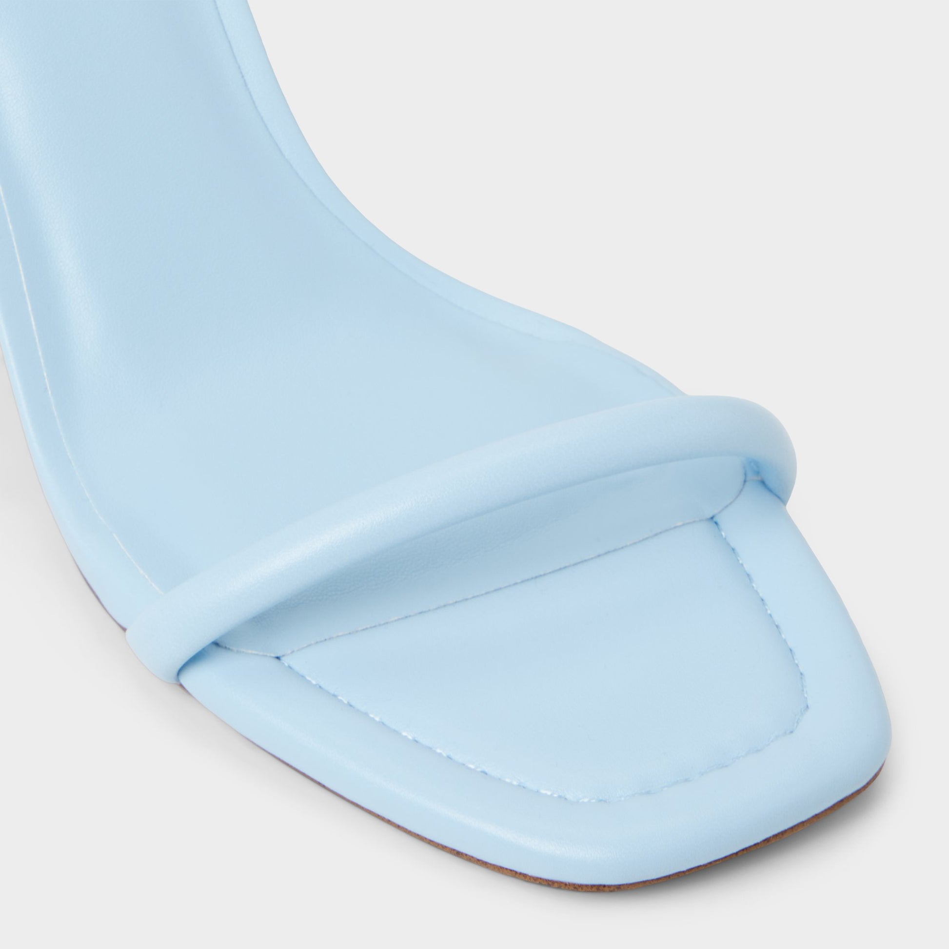 Close-up of the Light Blue Demmi