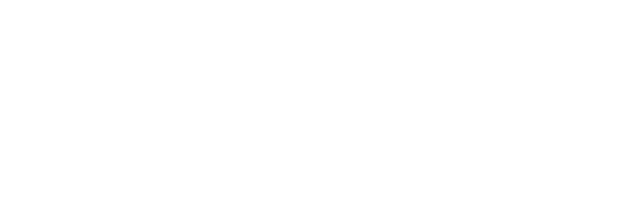 ALDO Flex