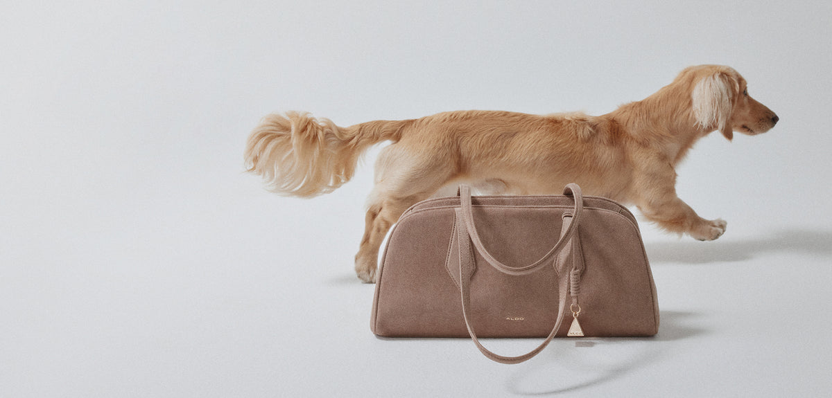 A beige suede shoulder bag with a beige dog walking behind it.
