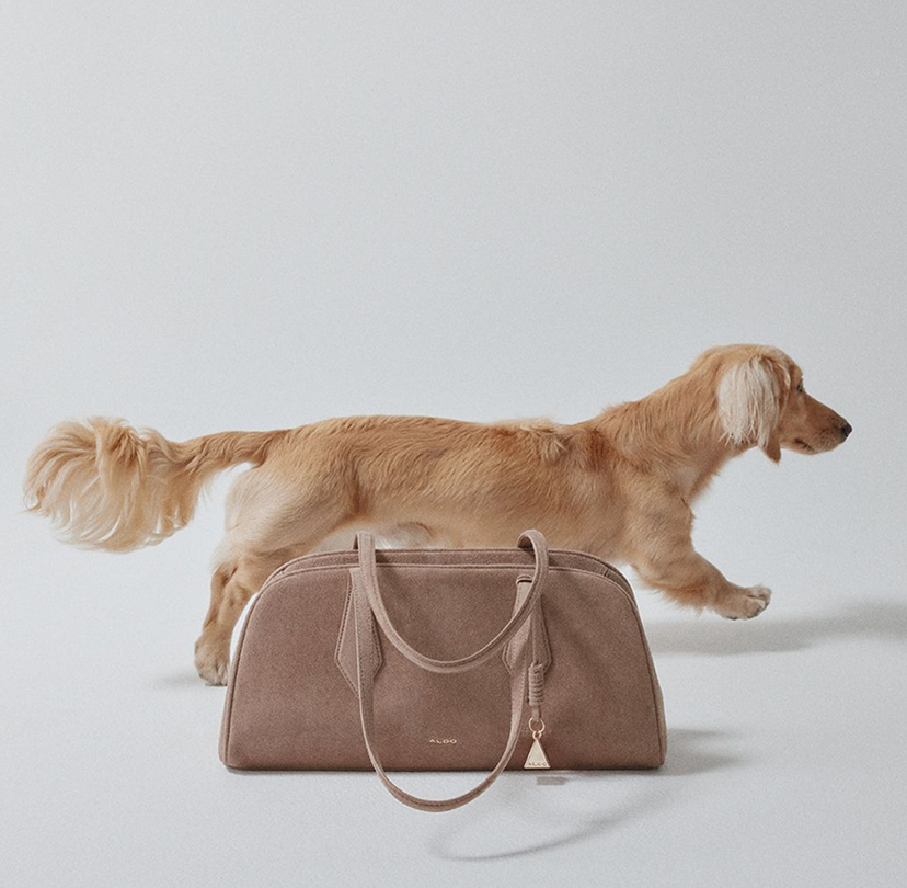 A beige suede shoulder bag with a beige dog walking behind it.