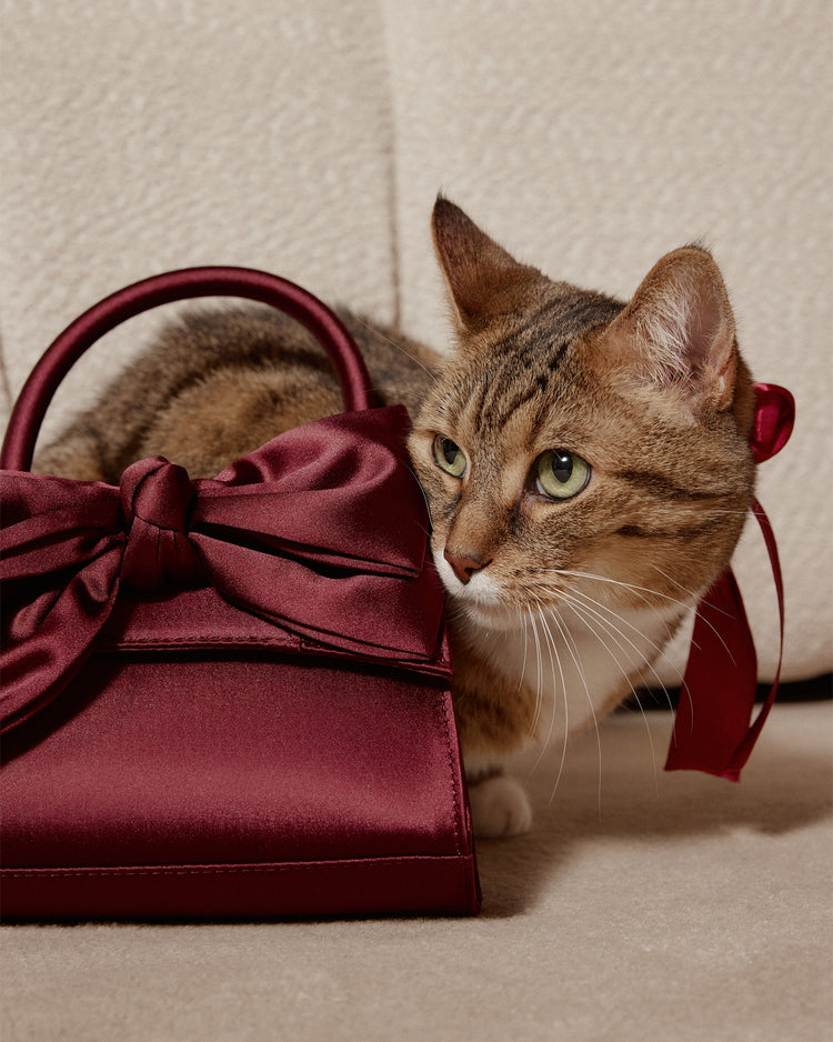 Cat with a red satin bag featuring a large bow on a neutral background