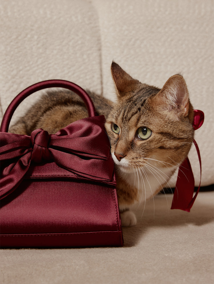Cat with a red satin bow next to a gift bag on a neutral background