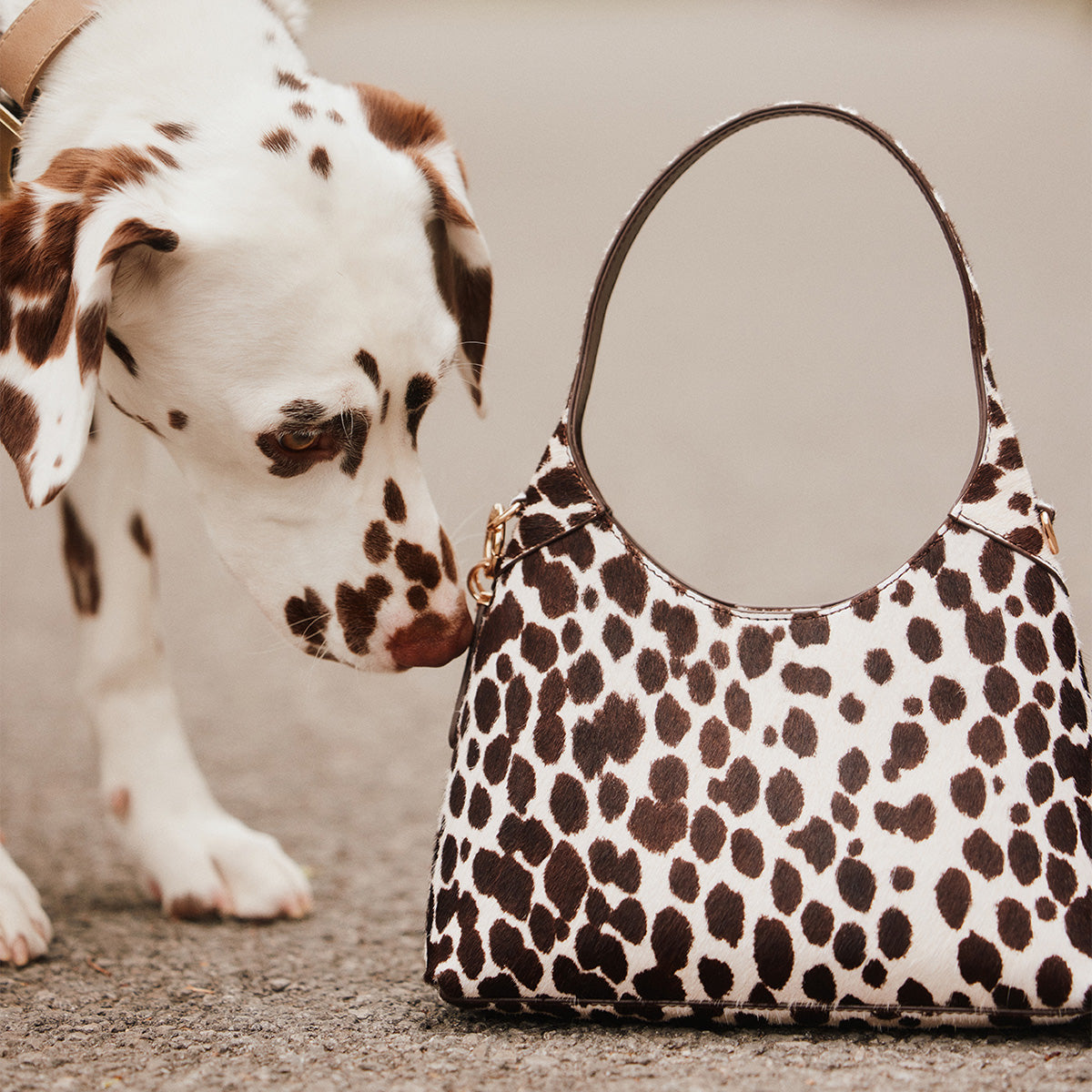 Une sac à main à imprimé animalier crème et brun, accompagné d’un chien blanc tacheté de brun.