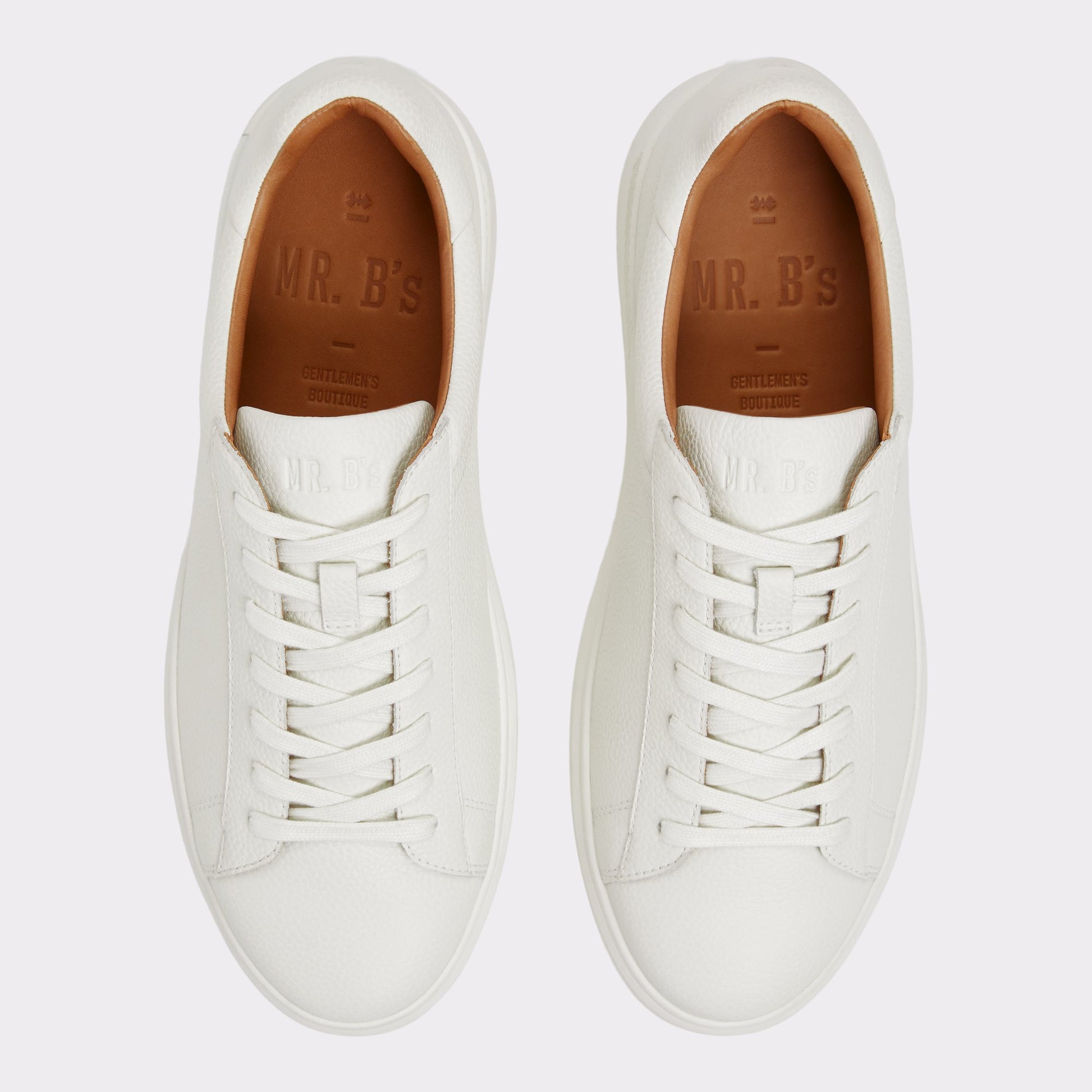 Top-down view of the Ice Seeger Low top sneaker