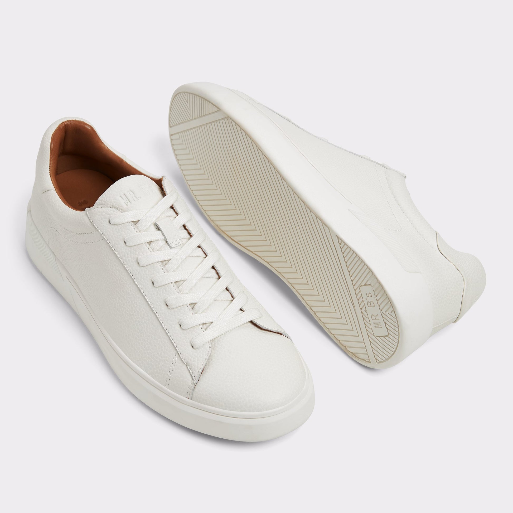 Highlighted view of a pair of Ice Seeger Low top sneakers