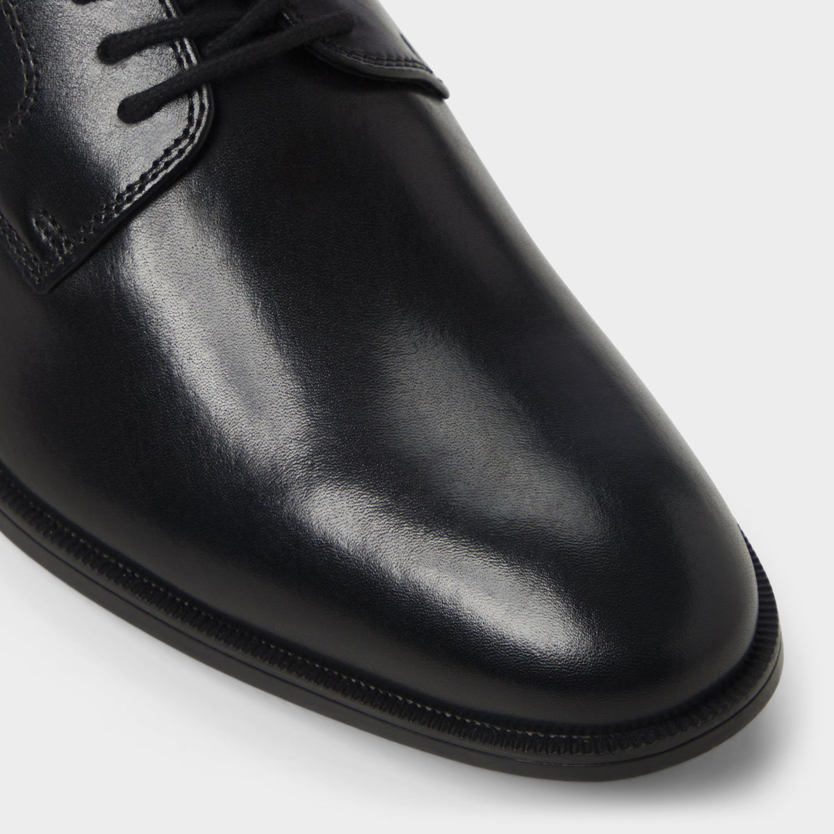 Close-up of the Black Intanjay-in