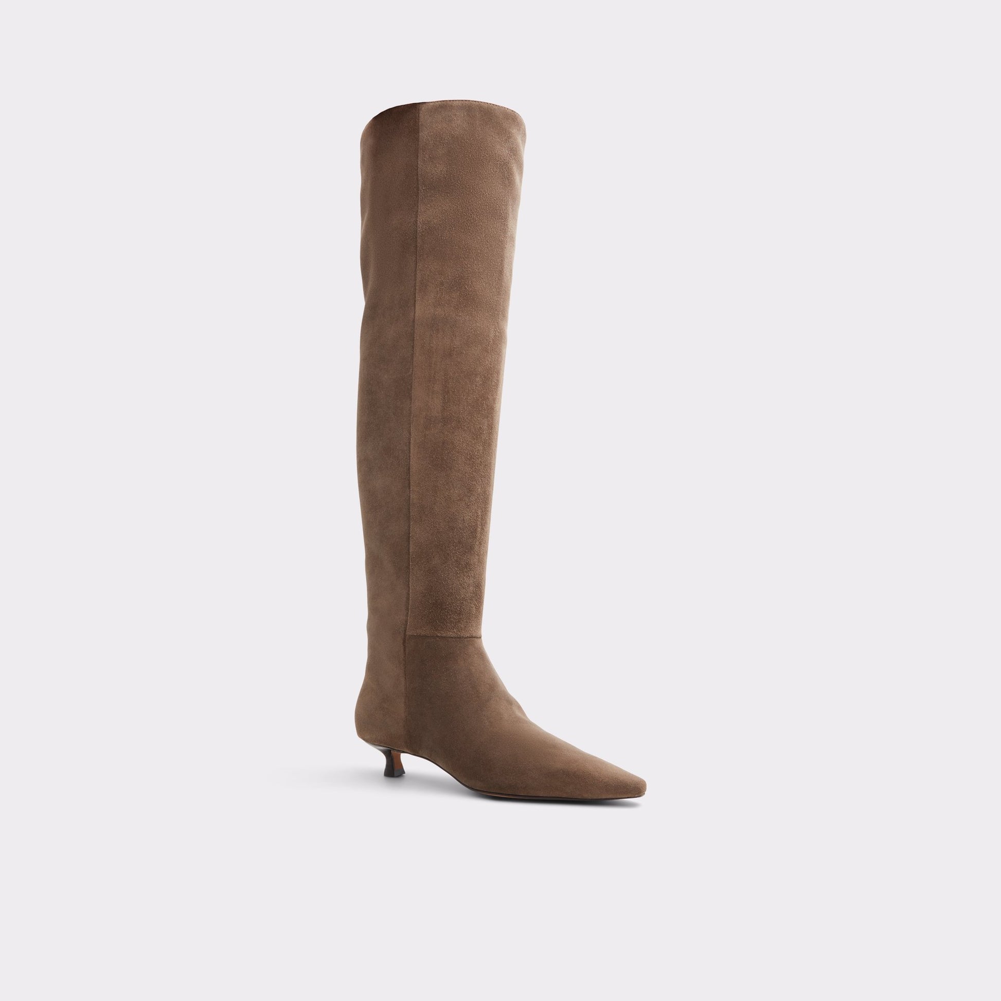 Three-quarter angle of Other Brown Muttsee Knee-high boot's front side