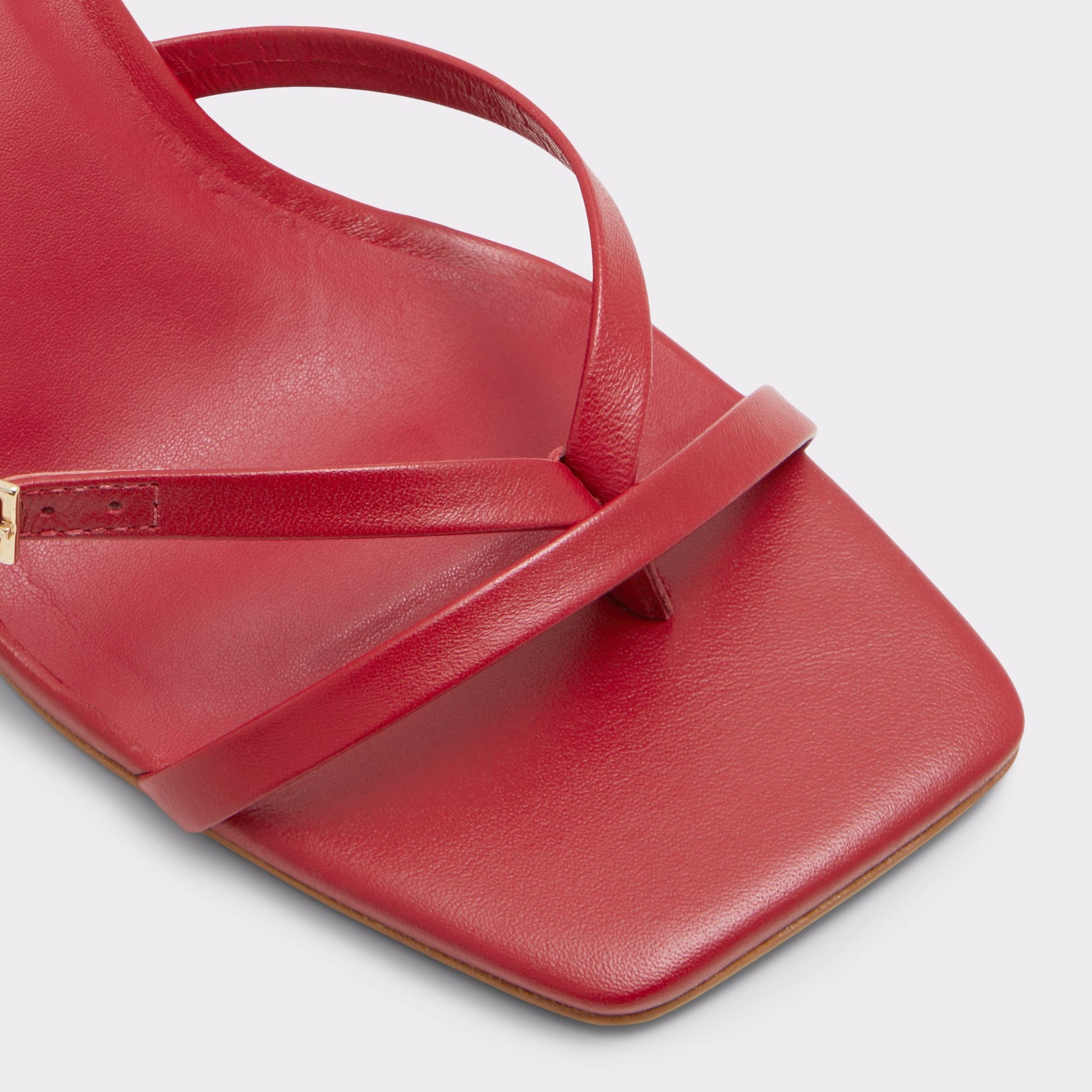 Close-up of the Red Gannever