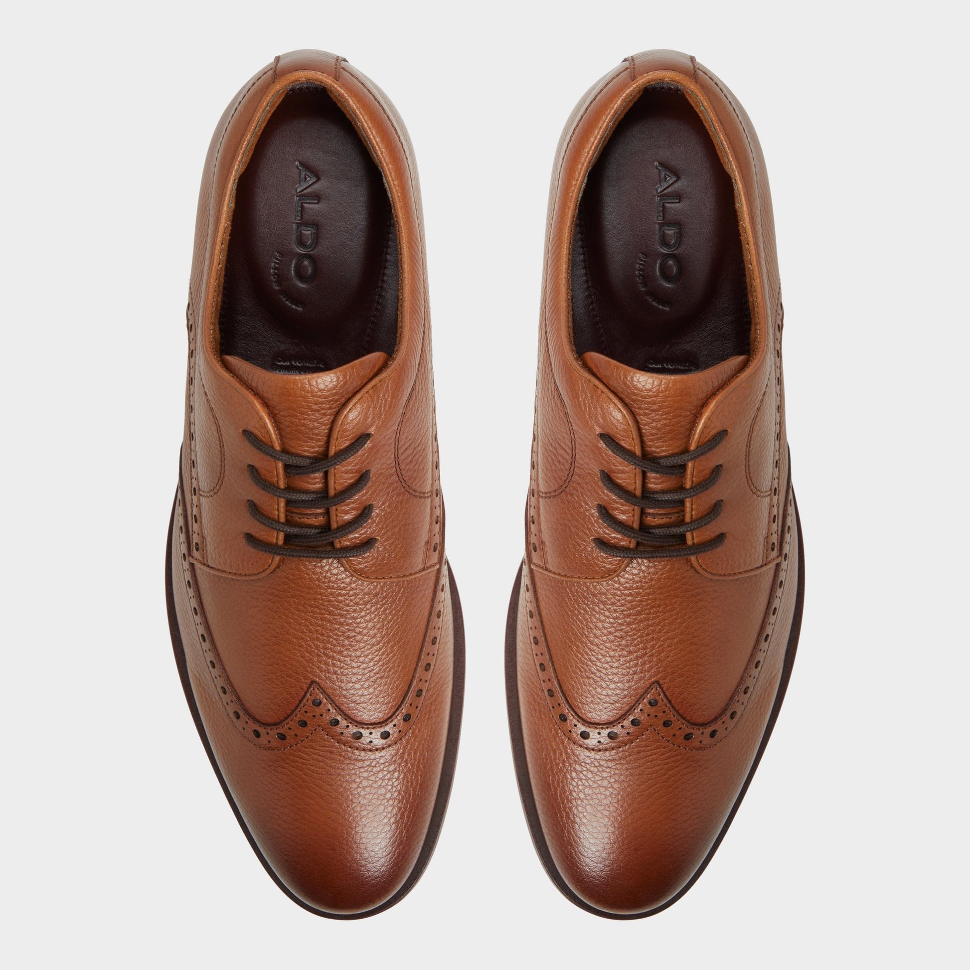 Top-down view of the Cognac Sargasso Oxford shoe