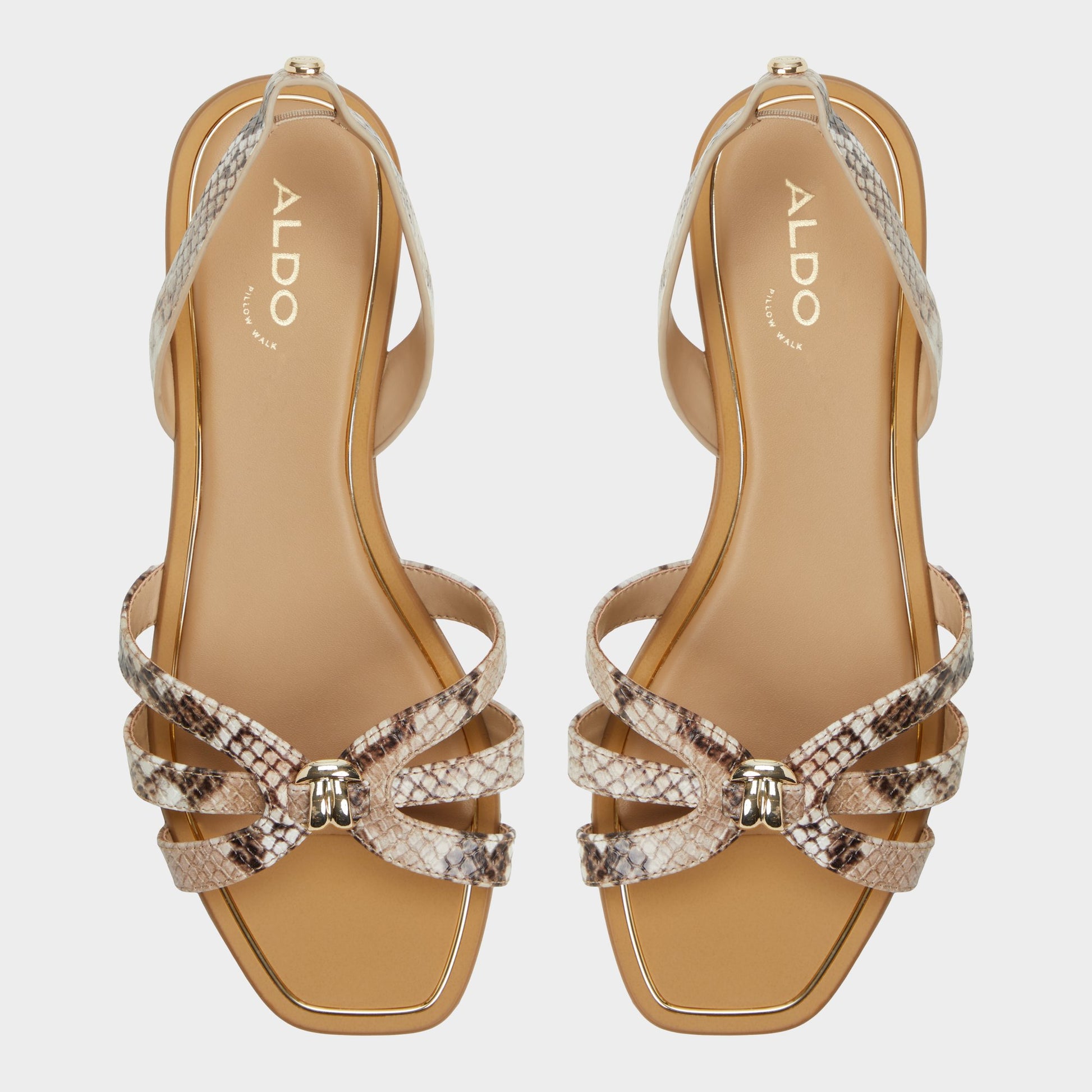 Top-down view of the Brown Multi Marassita Flat sandal