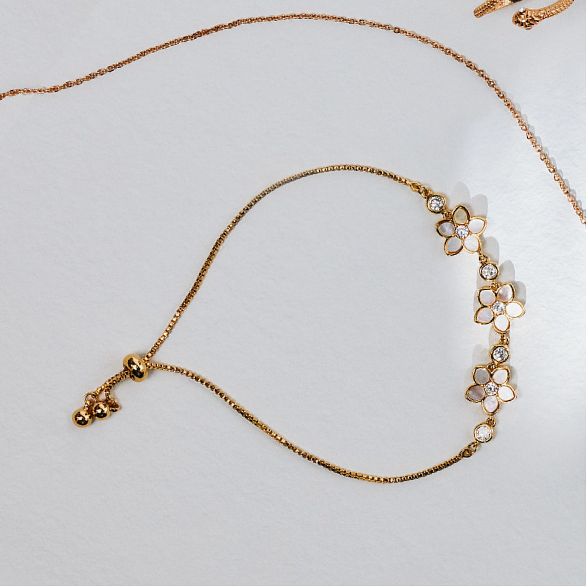 Product media for Orchidd