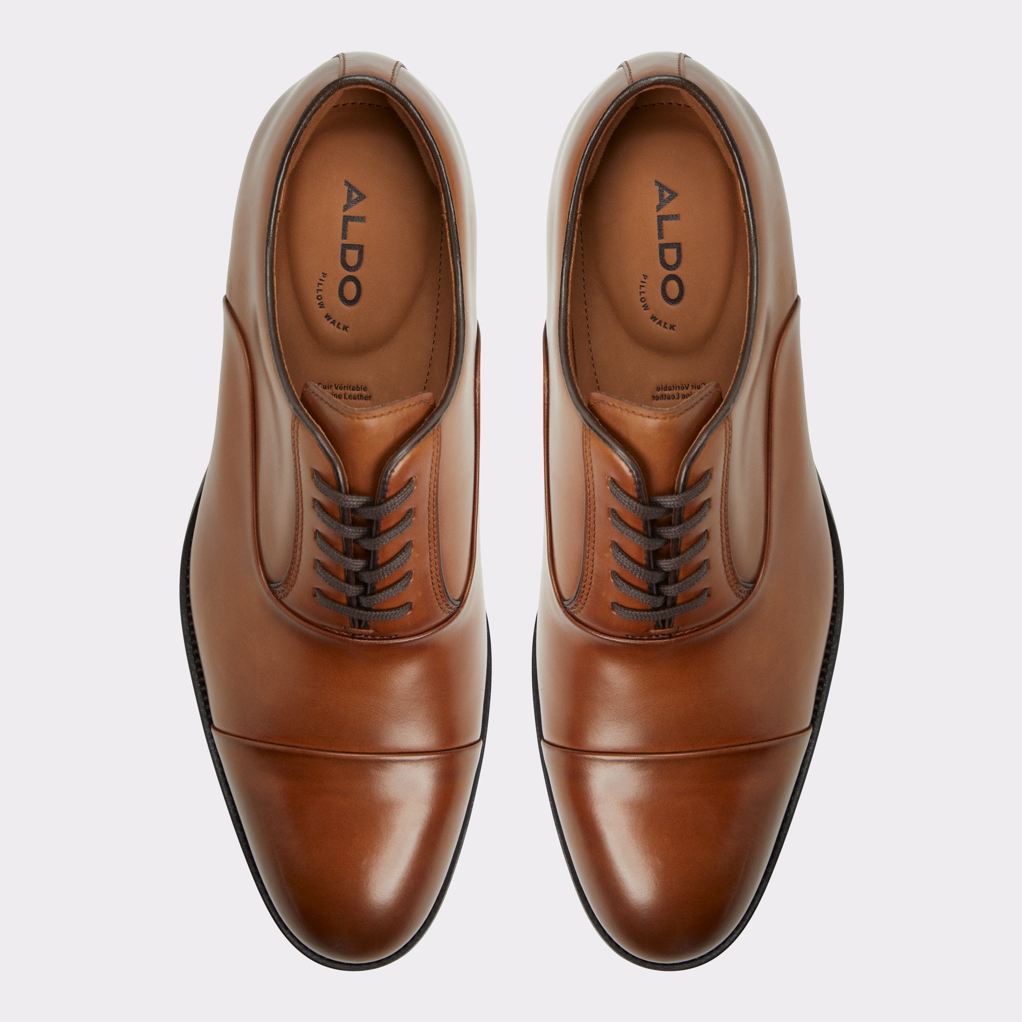 Lazio – Men Cognac Oxford shoe - ALDO