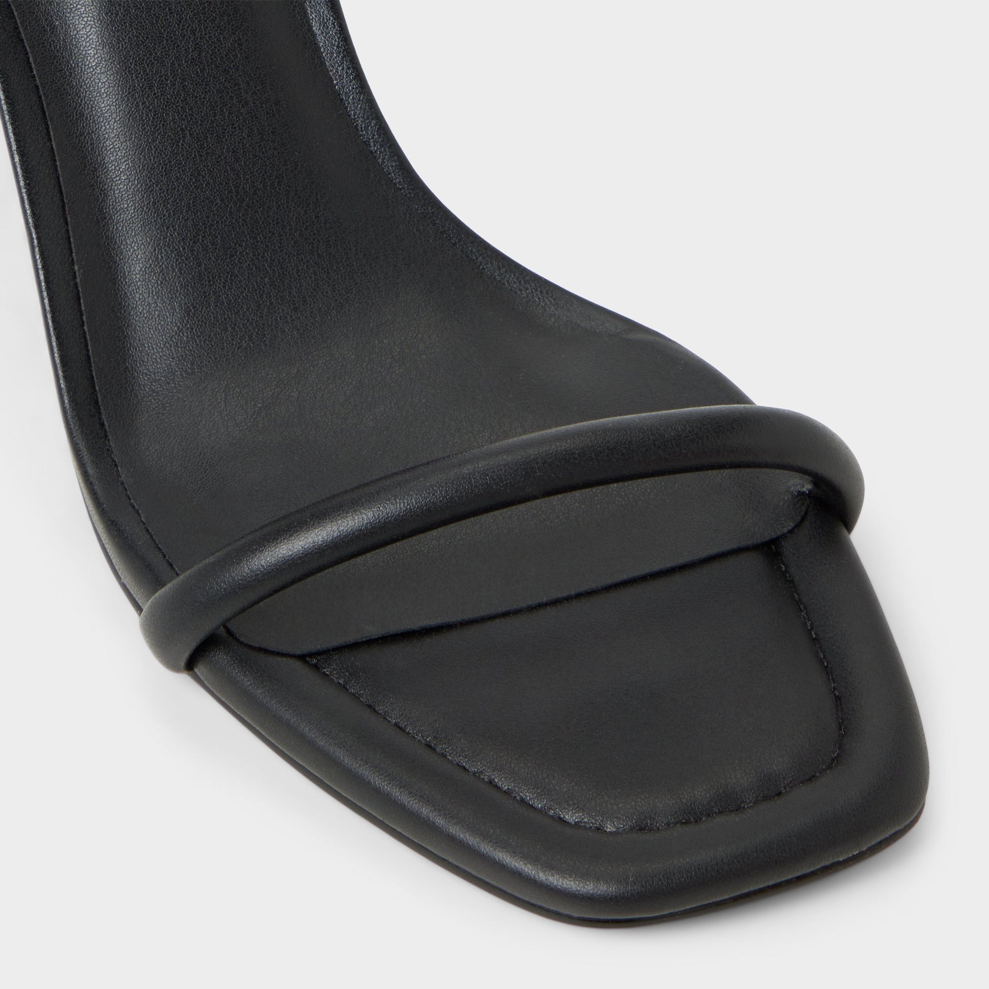 Close-up of the Black Demmi