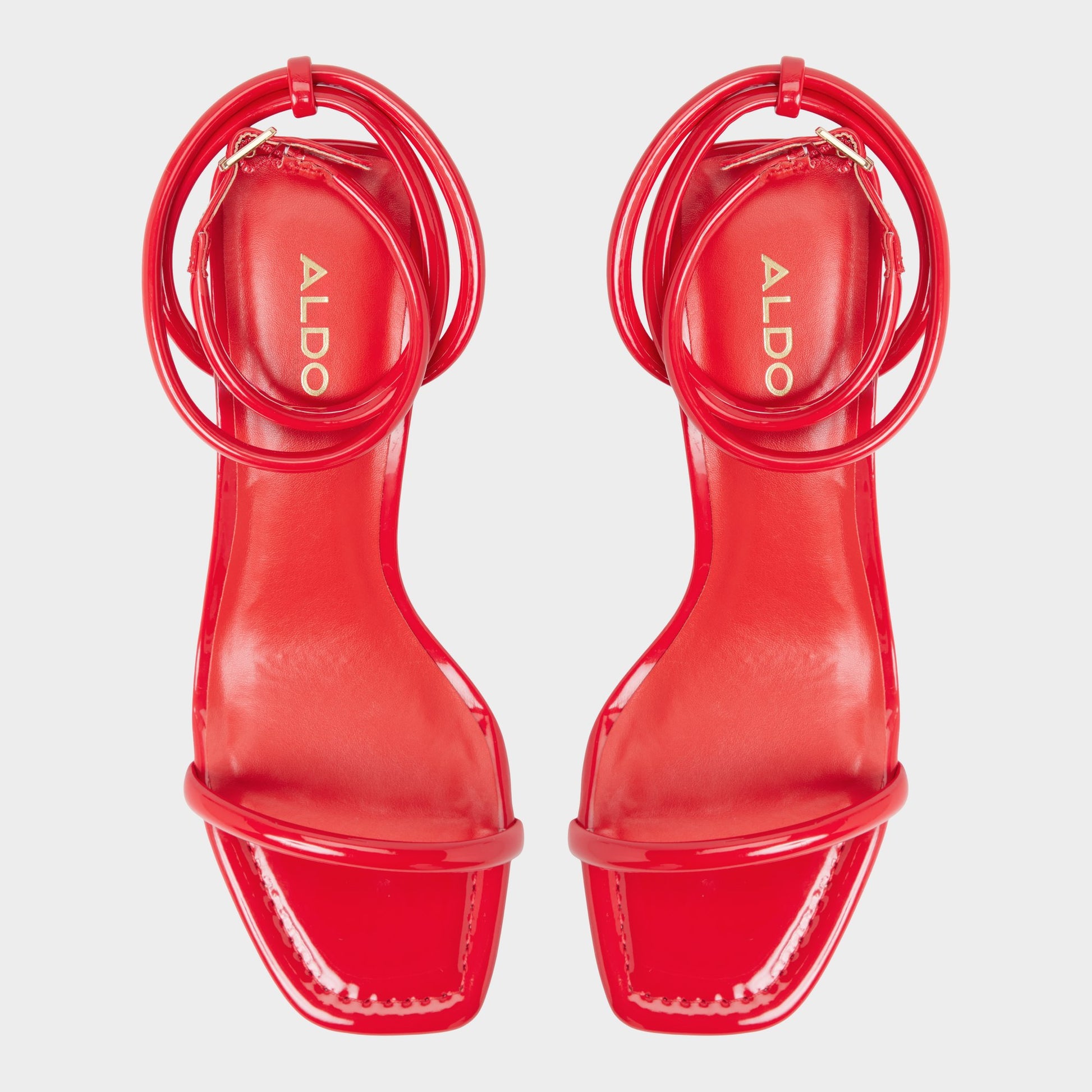 Top-down view of the Red Demmi
