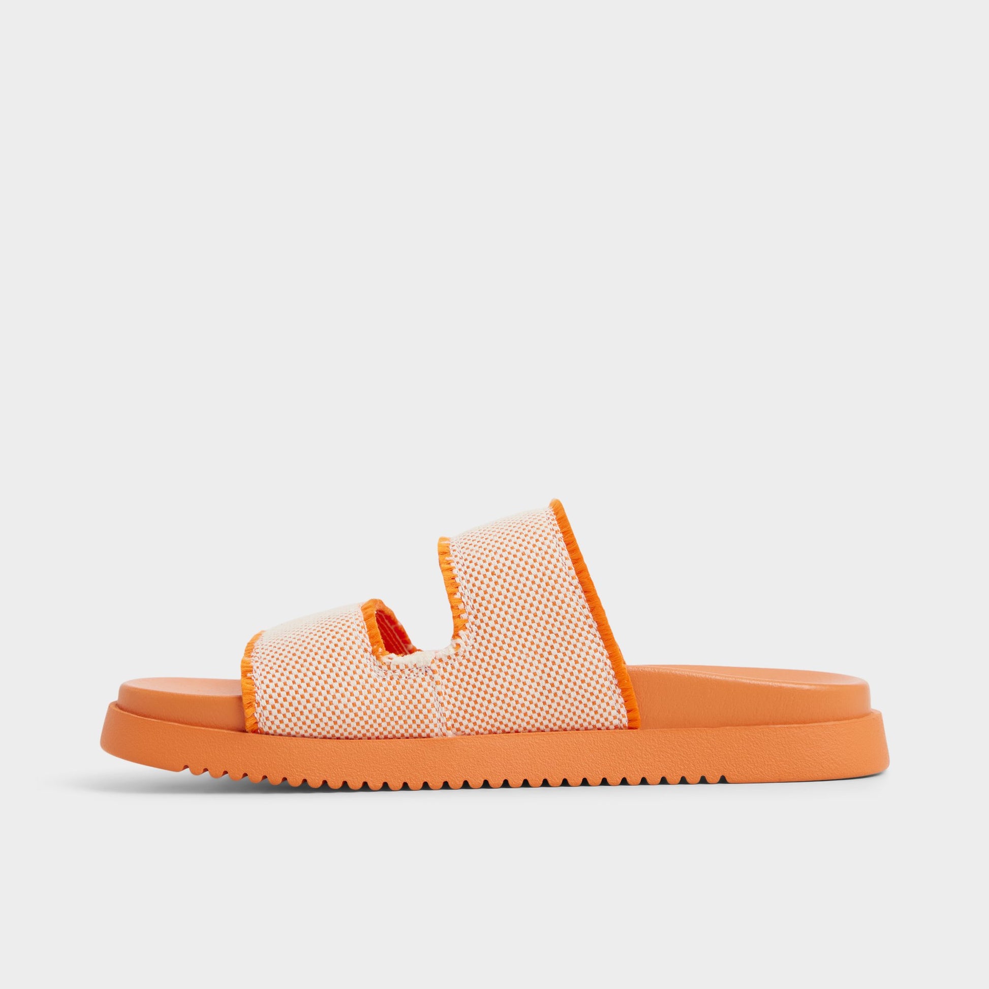 Side view of Orange Daisymae