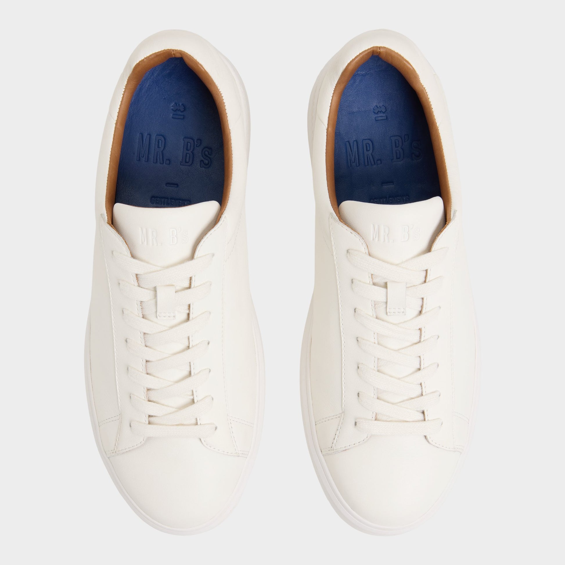 Top-down view of the White Seeger Low top sneaker
