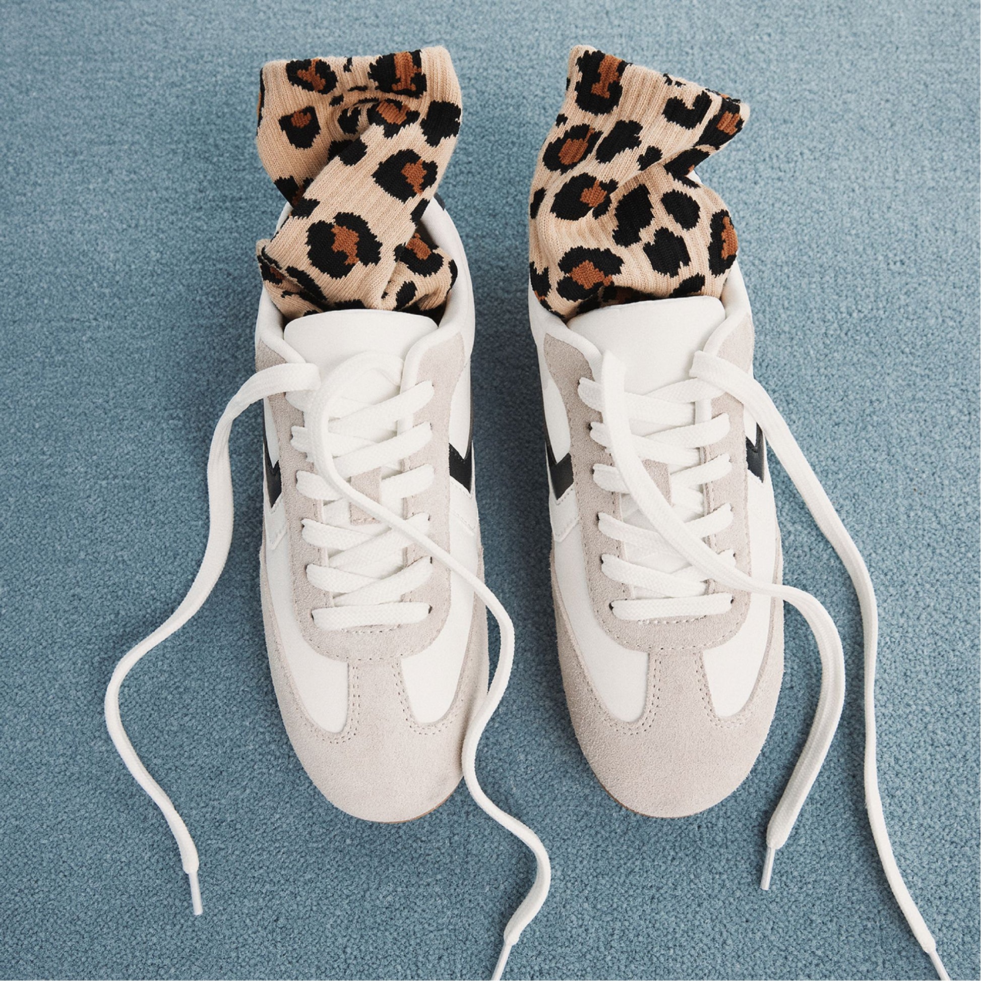 Product media for Wildpaws