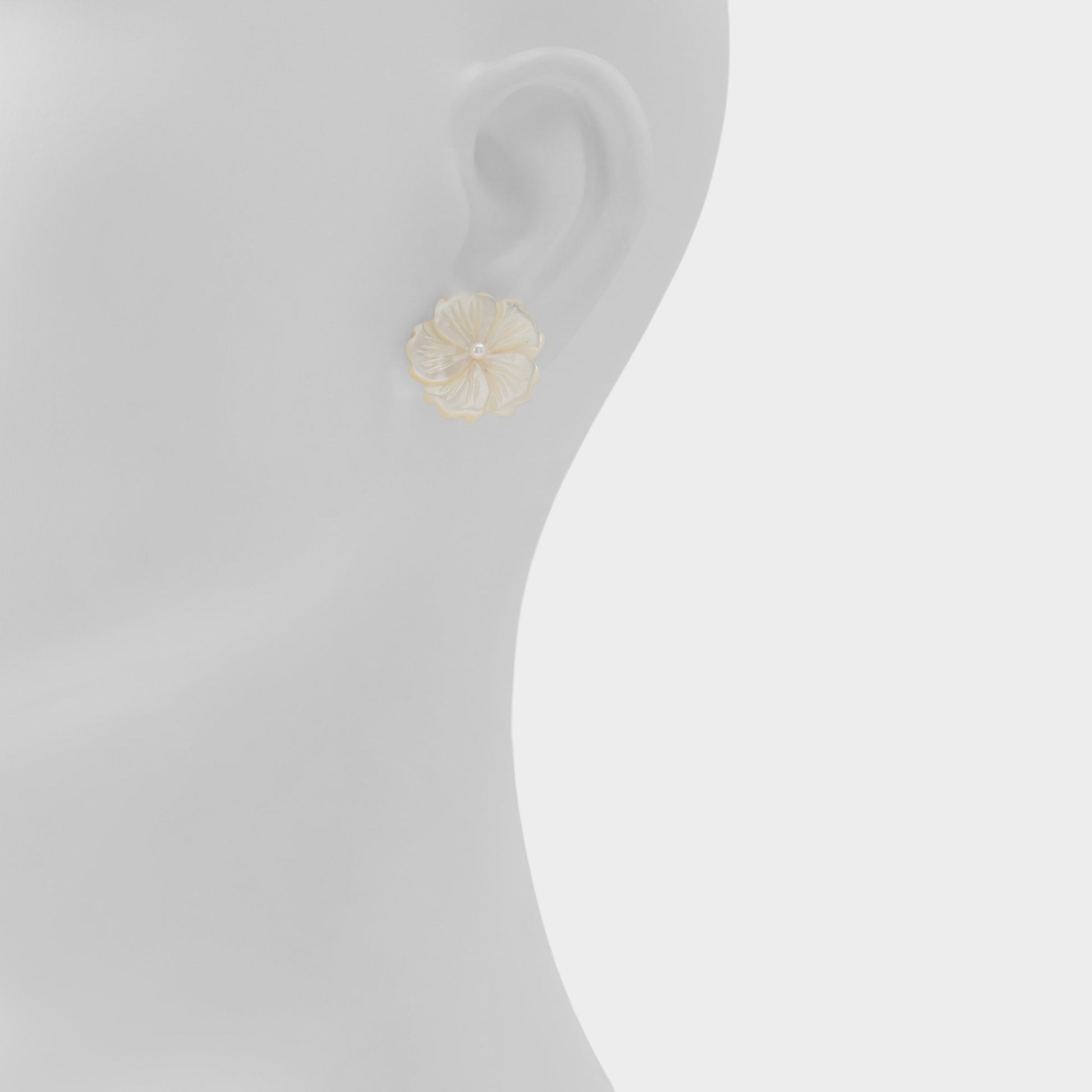 Product media for Camelliaa