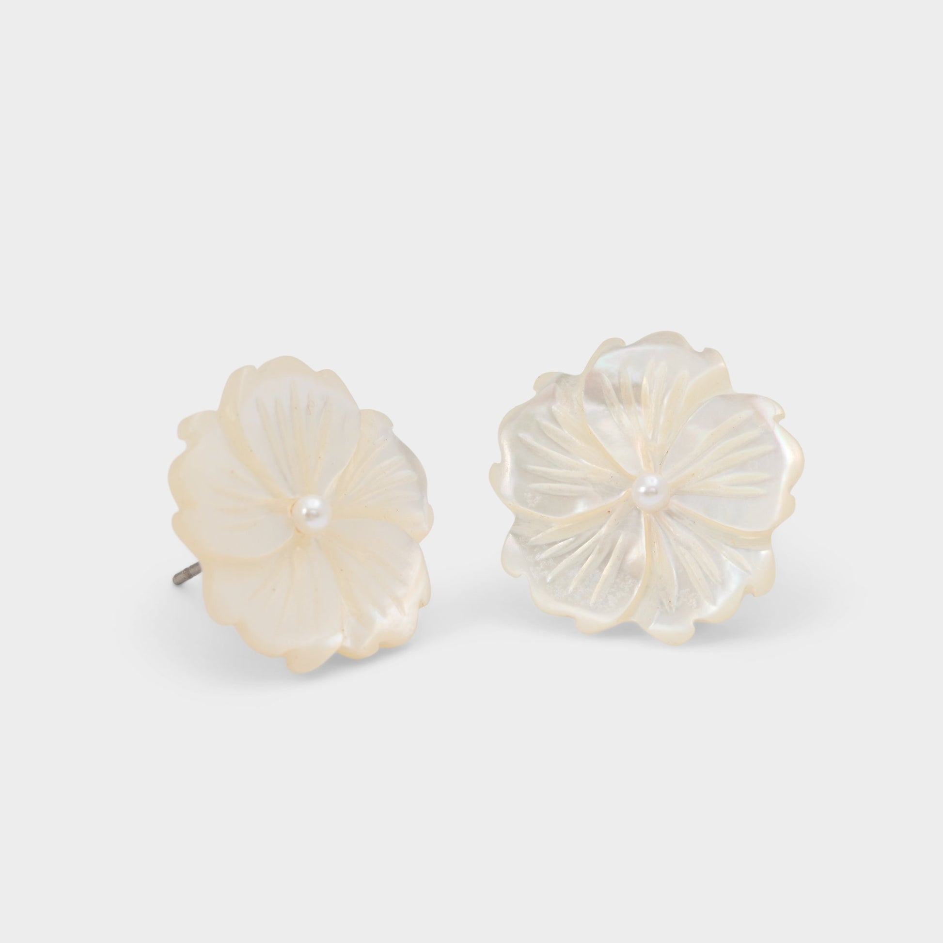 Product media for Camelliaa