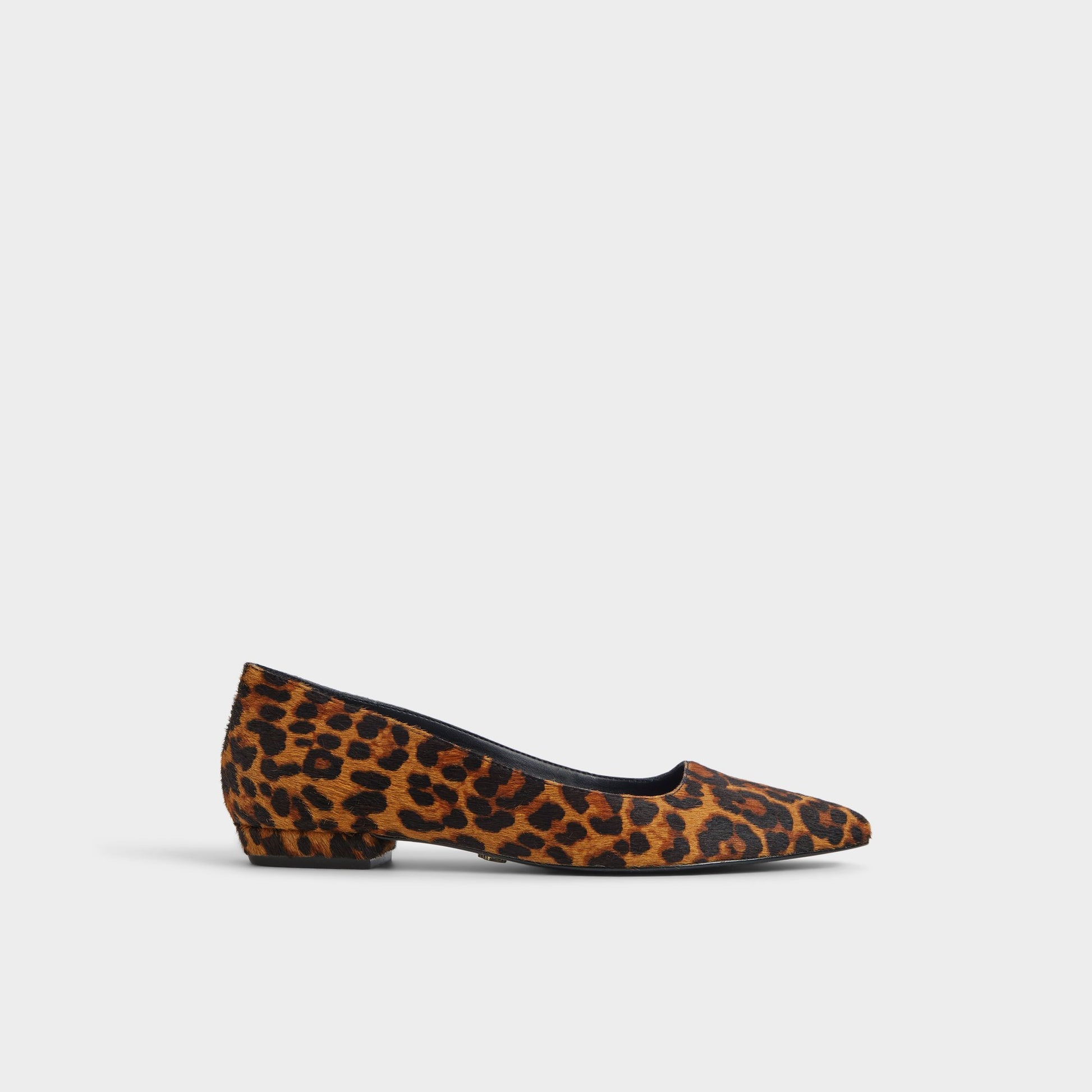 Main View of Brown Multi Estelli Ballerina for Womens