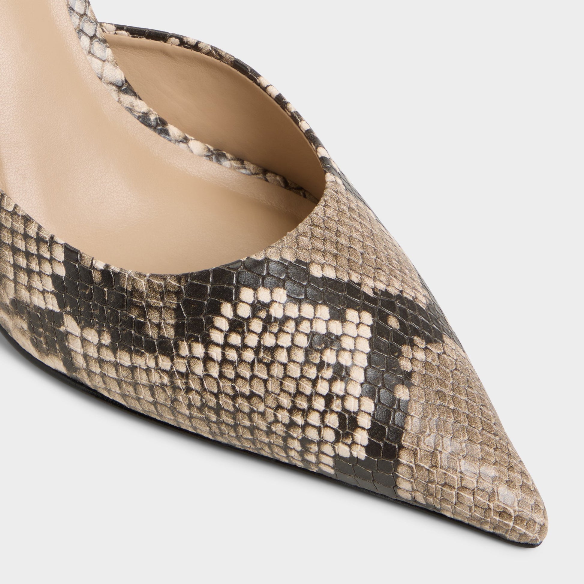 Gros plan de la Python Beatrixy Mule à talon haut