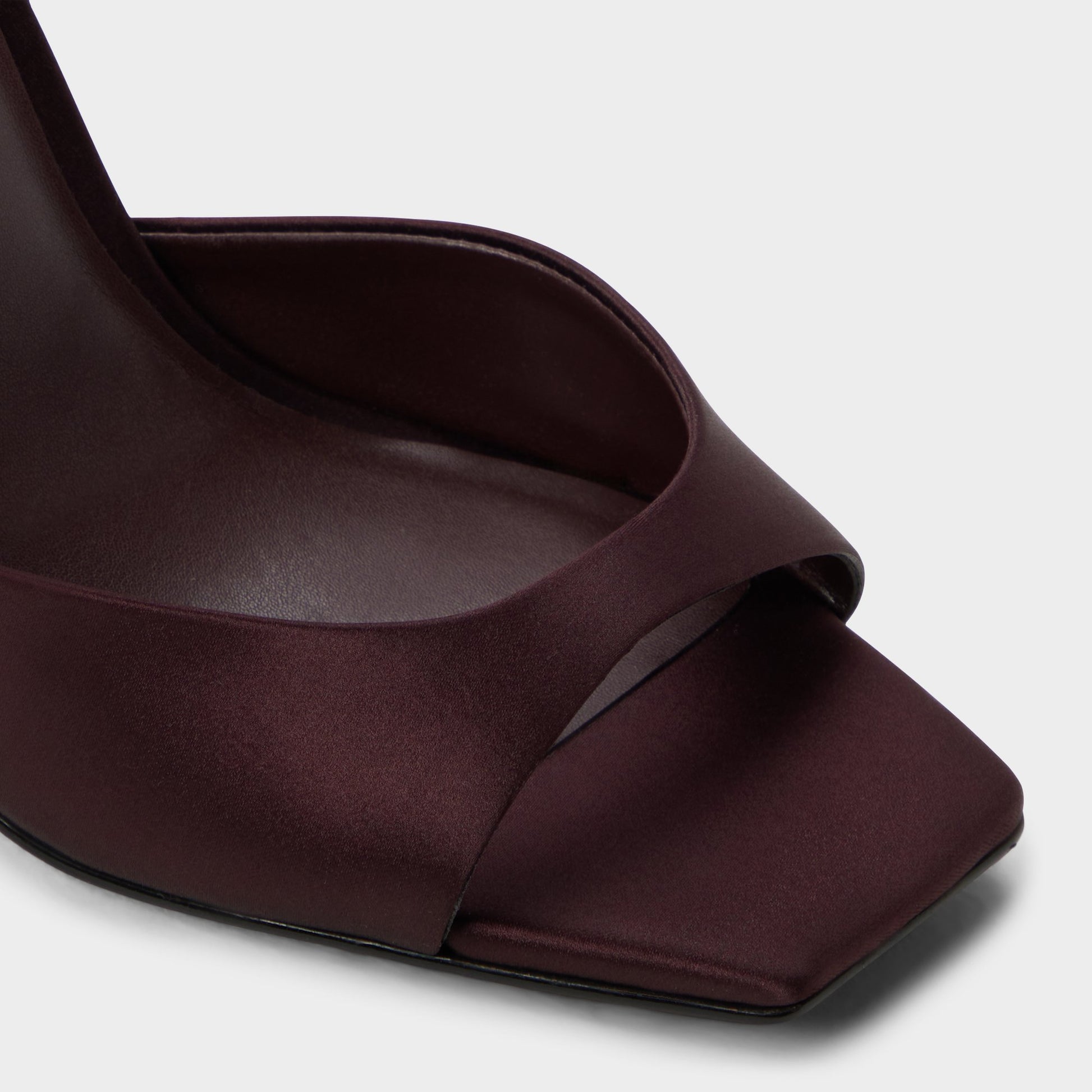 Close-up of the Brown Alisonn