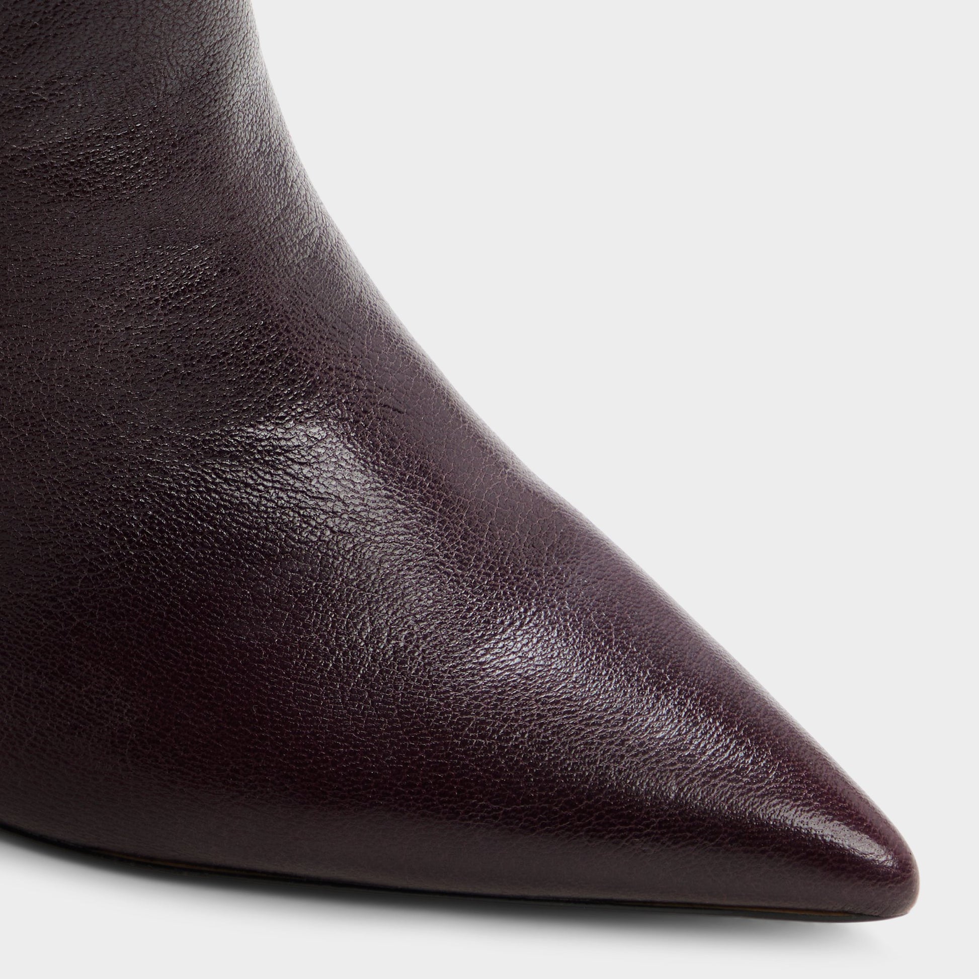 Close-up of the Bordo Holiis Knee-high boot