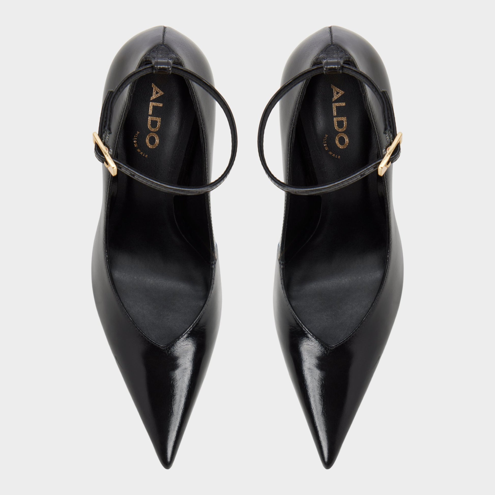 Top-down view of the Black Zaira Pump