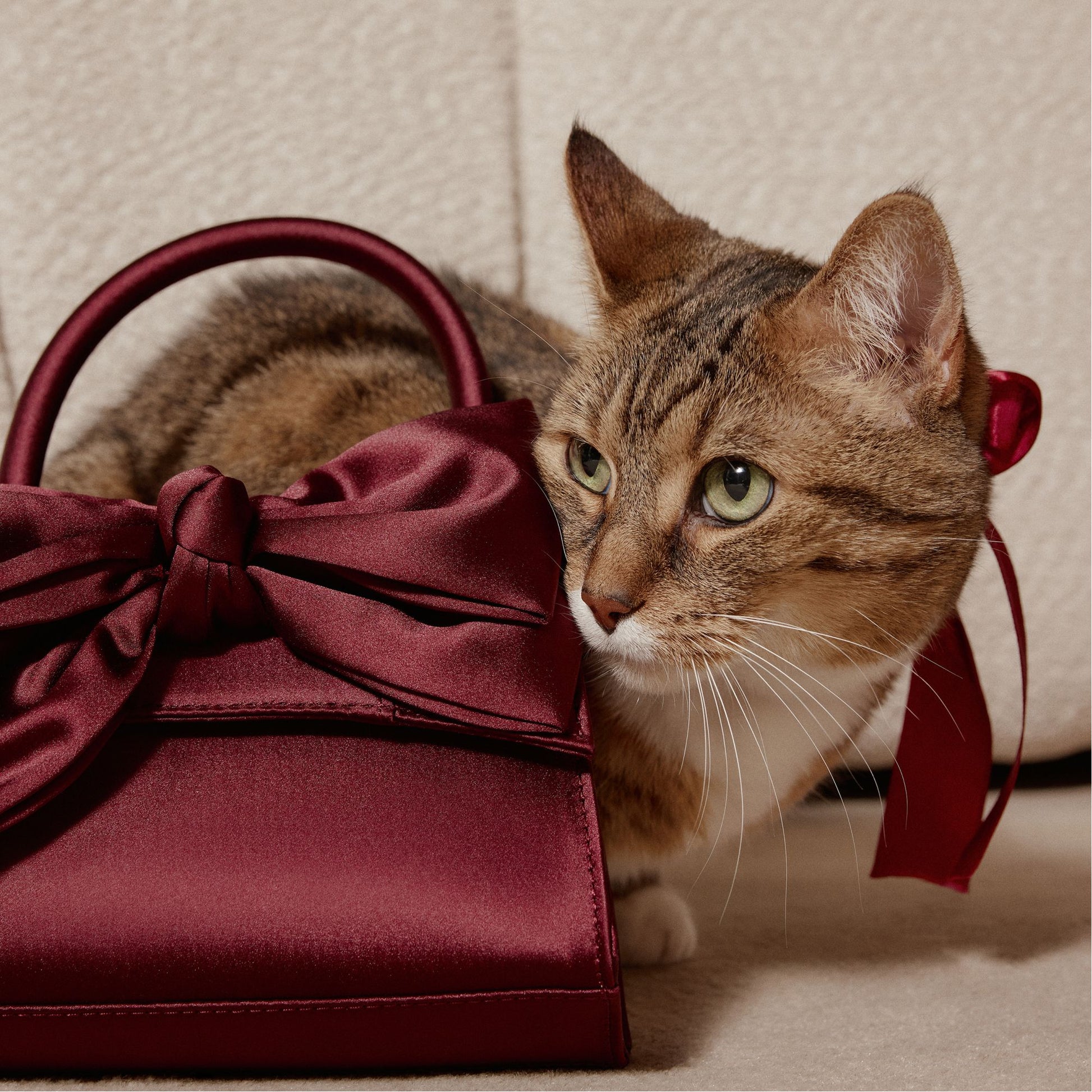 Product media for Decadencee