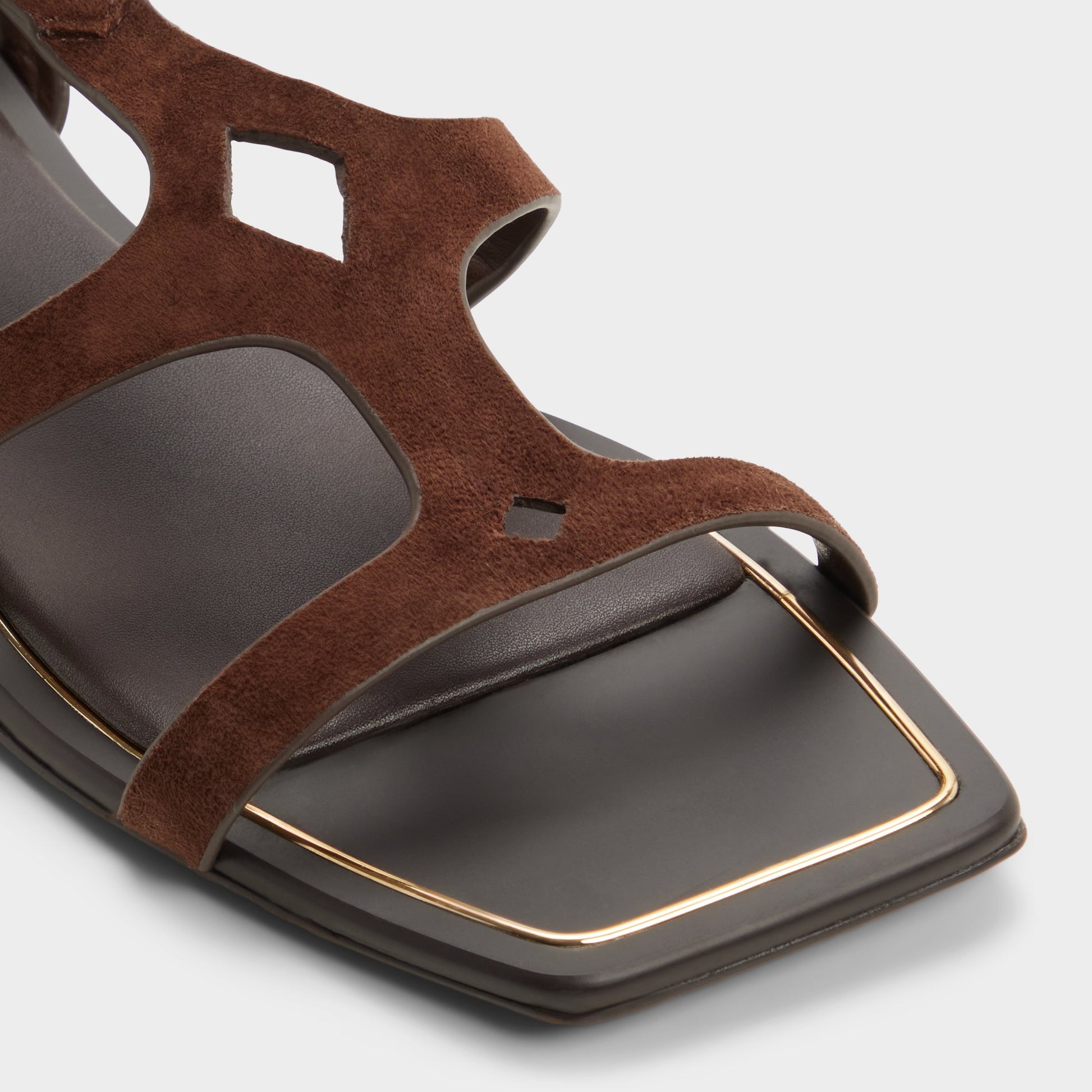 Close-up of the Dark brown Marisea