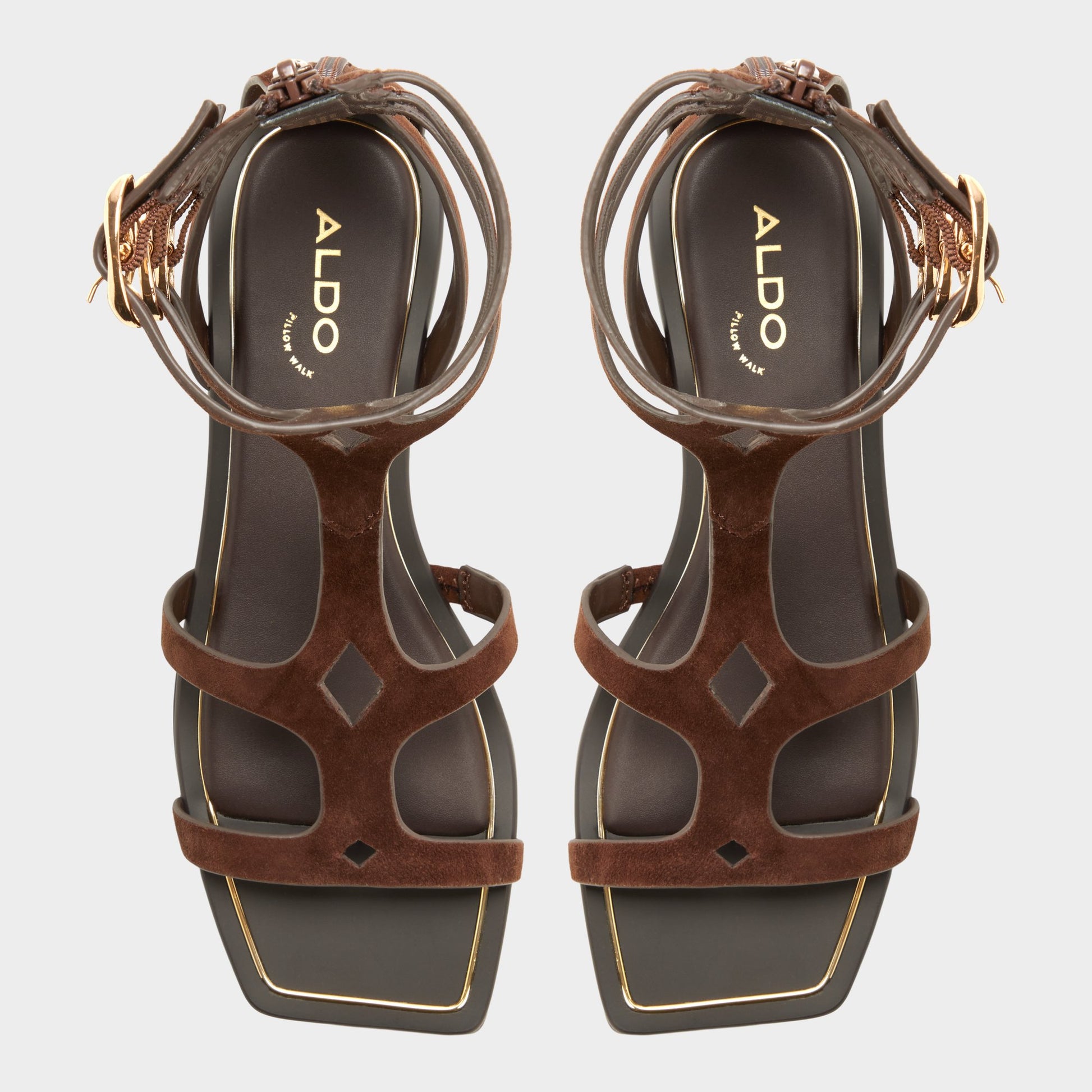 Top-down view of the Dark brown Marisea