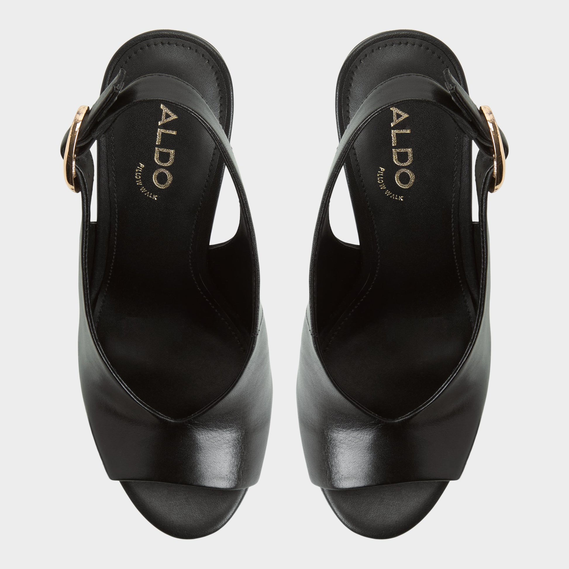 Top-down view of the Black Tatianah