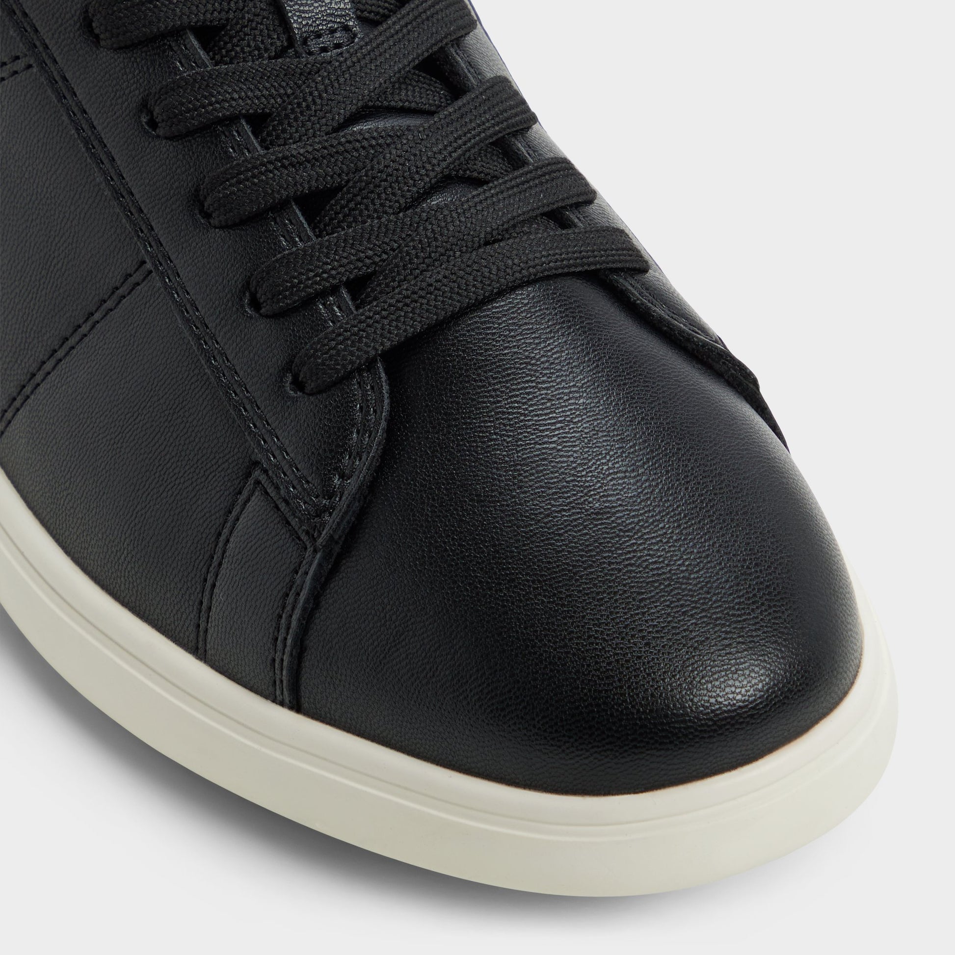 Close-up of the Black Ovie