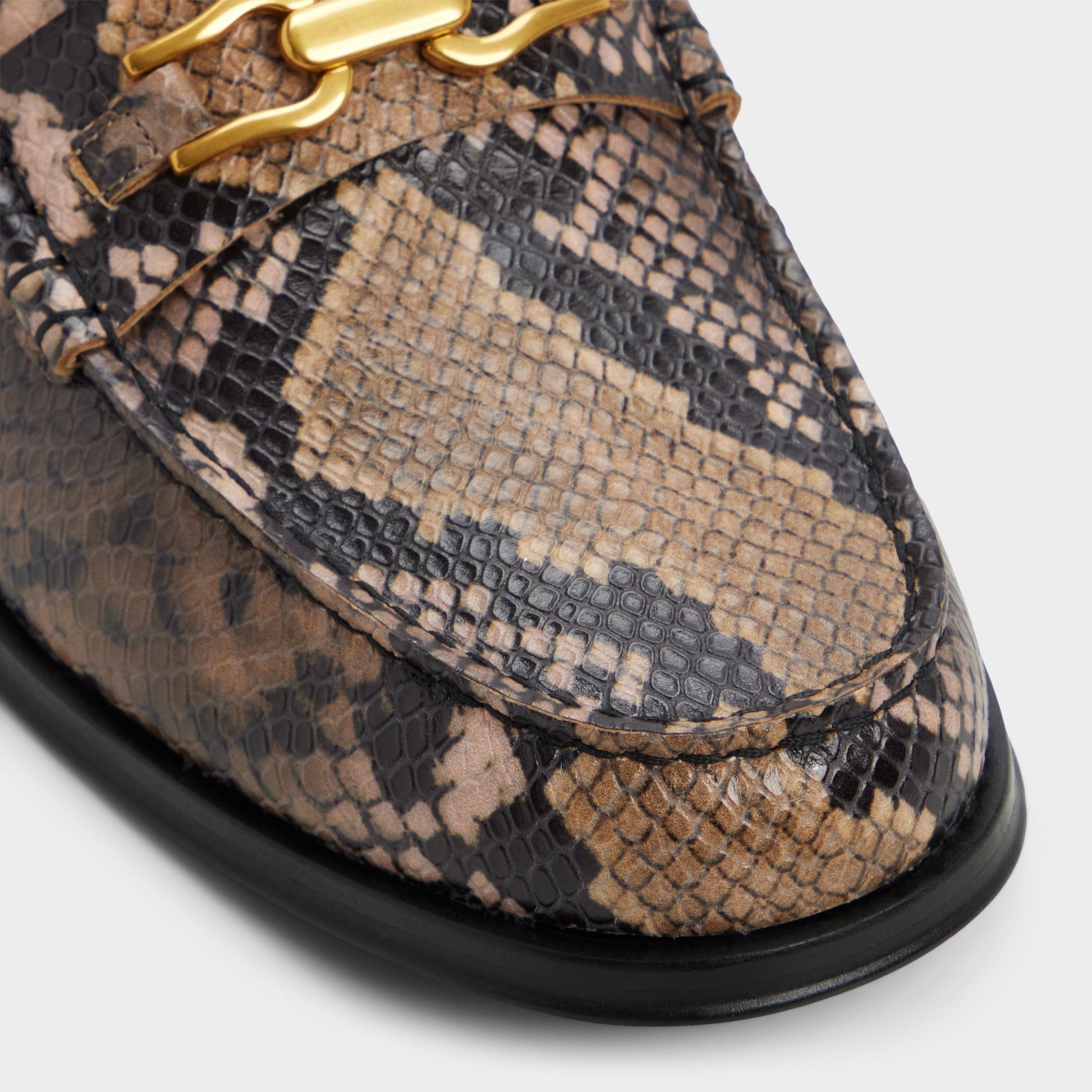 Gros plan de la Marron Multi Edouard