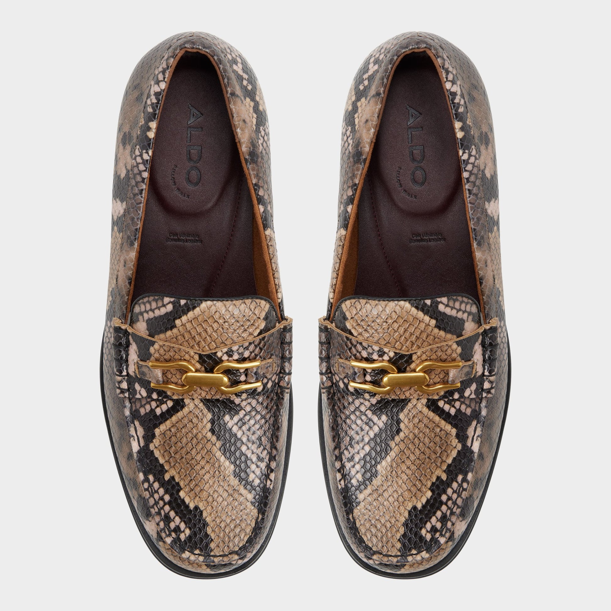 Vue de dessus de la Marron Multi Edouard