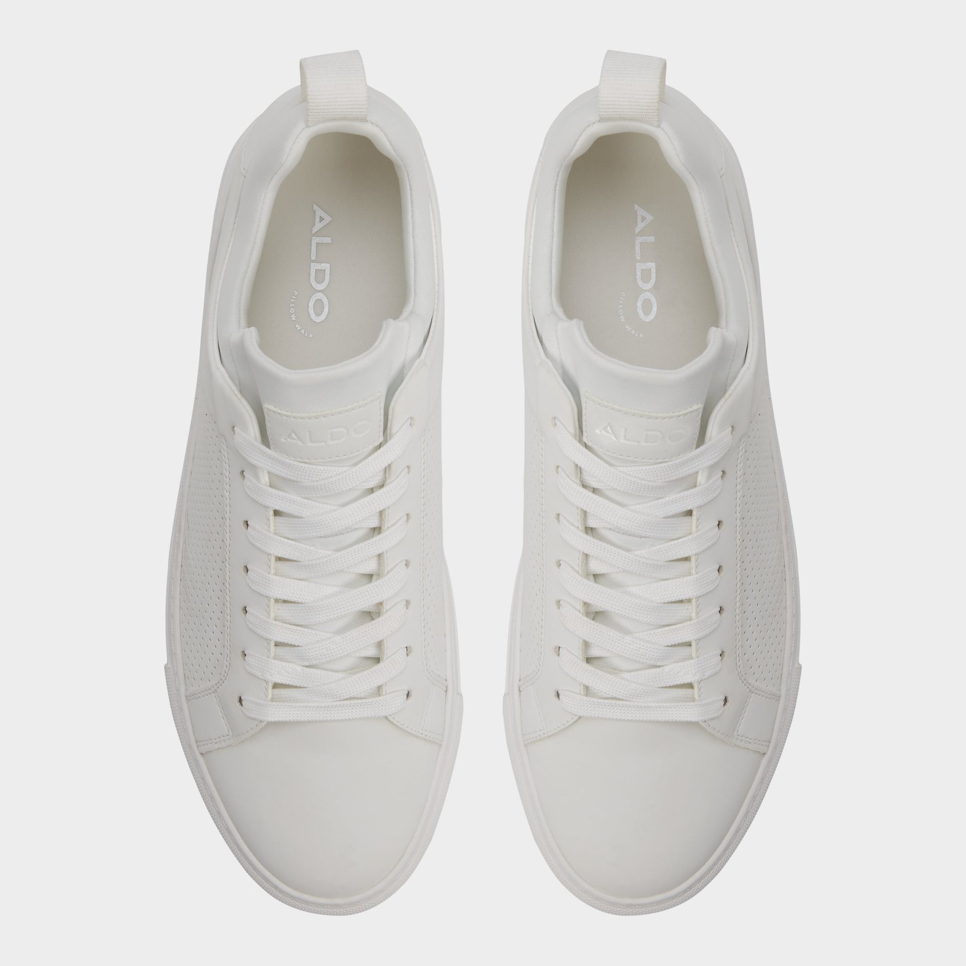 Top-down view of the White Xavier