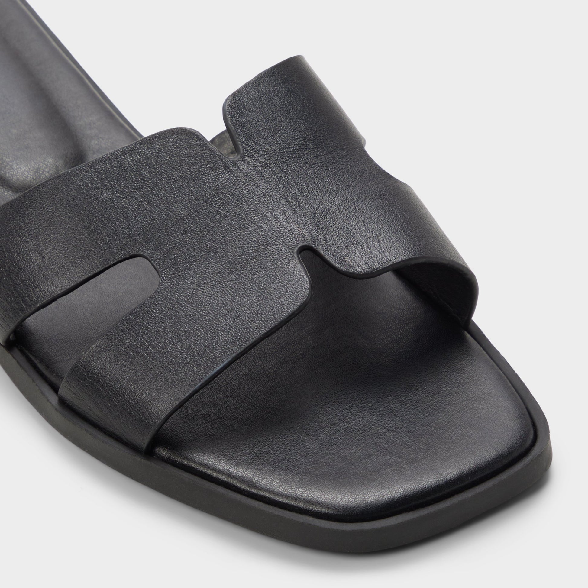 Close-up of the Black Itsandalb