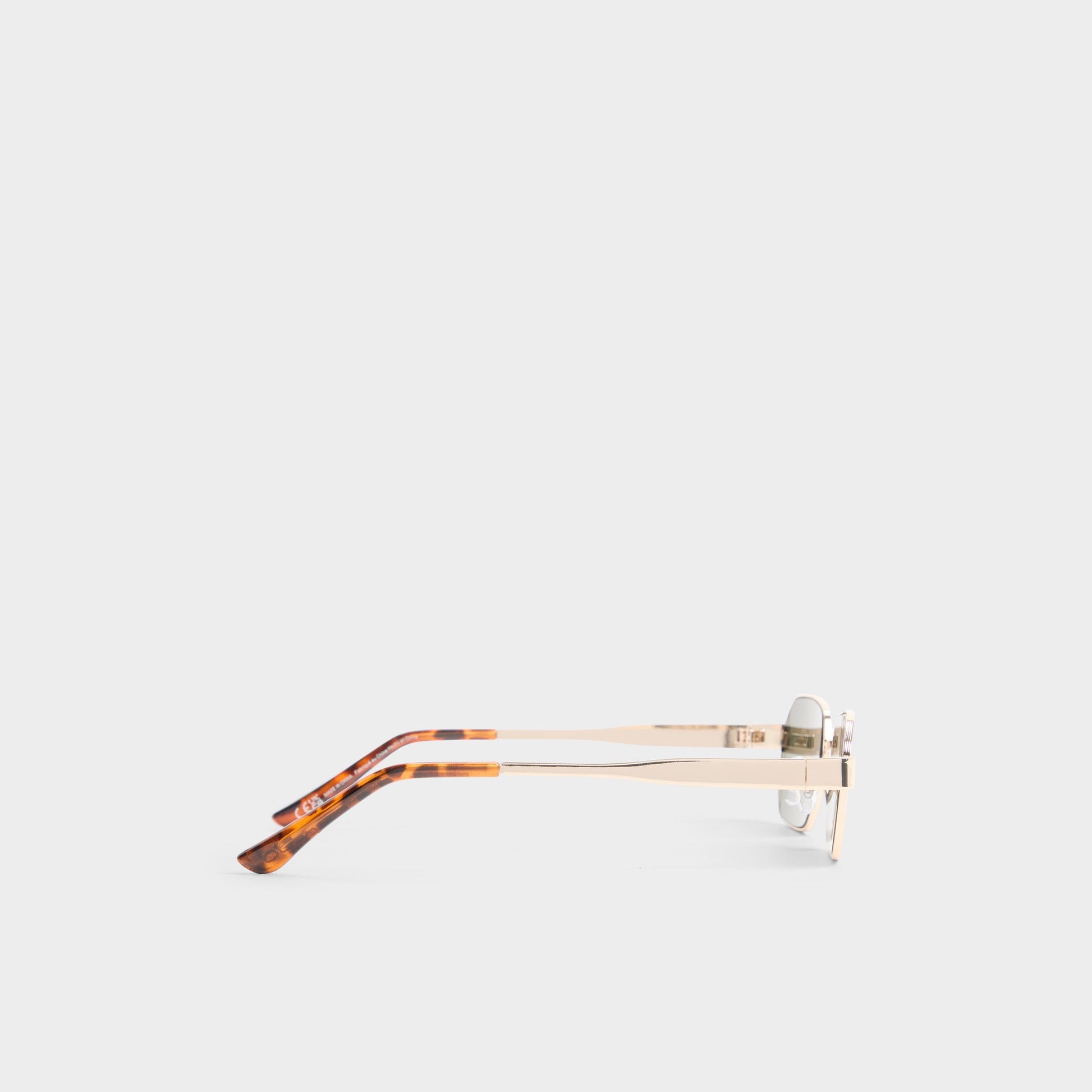 aldo goggles Arloo