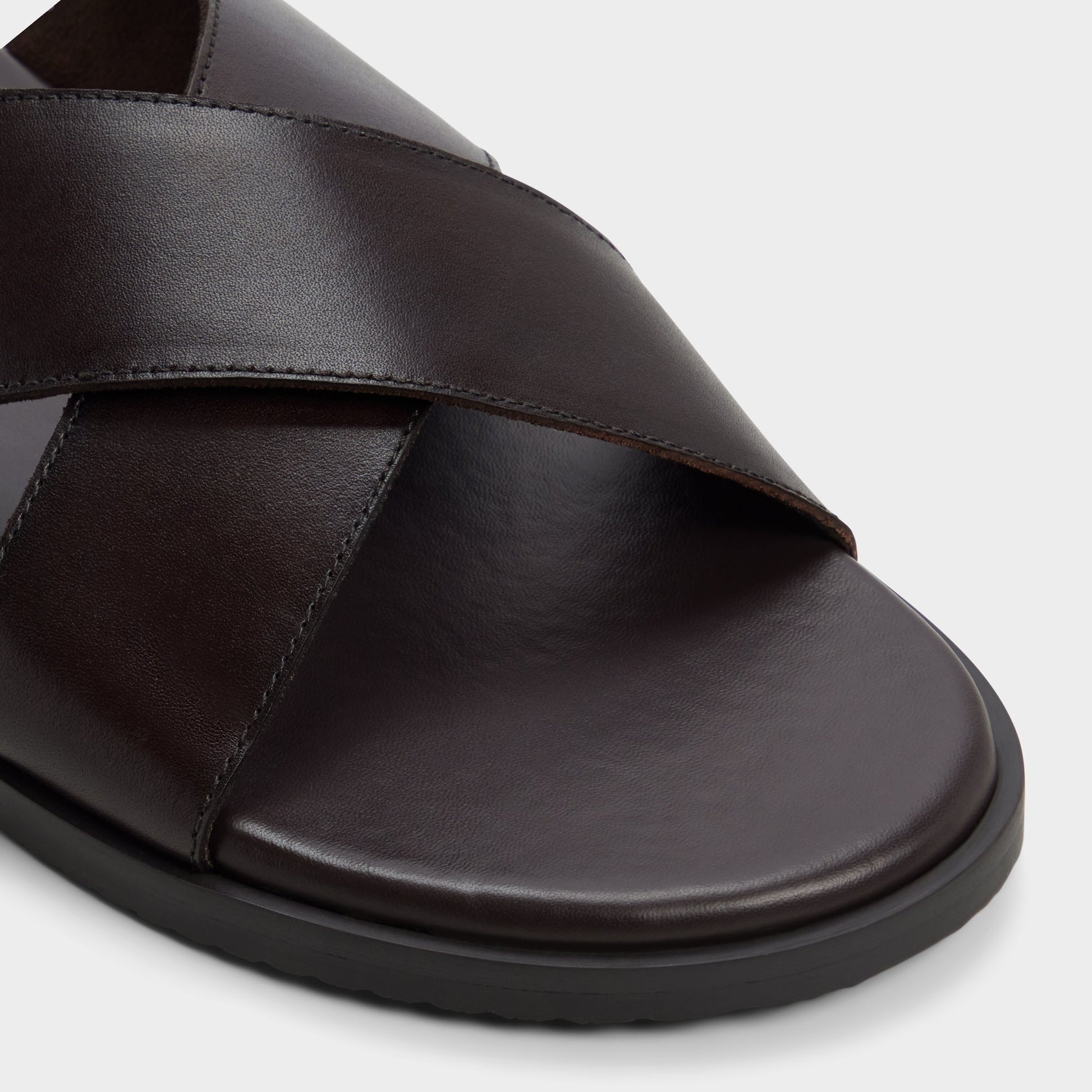 Close-up of the Dark brown Erik-in