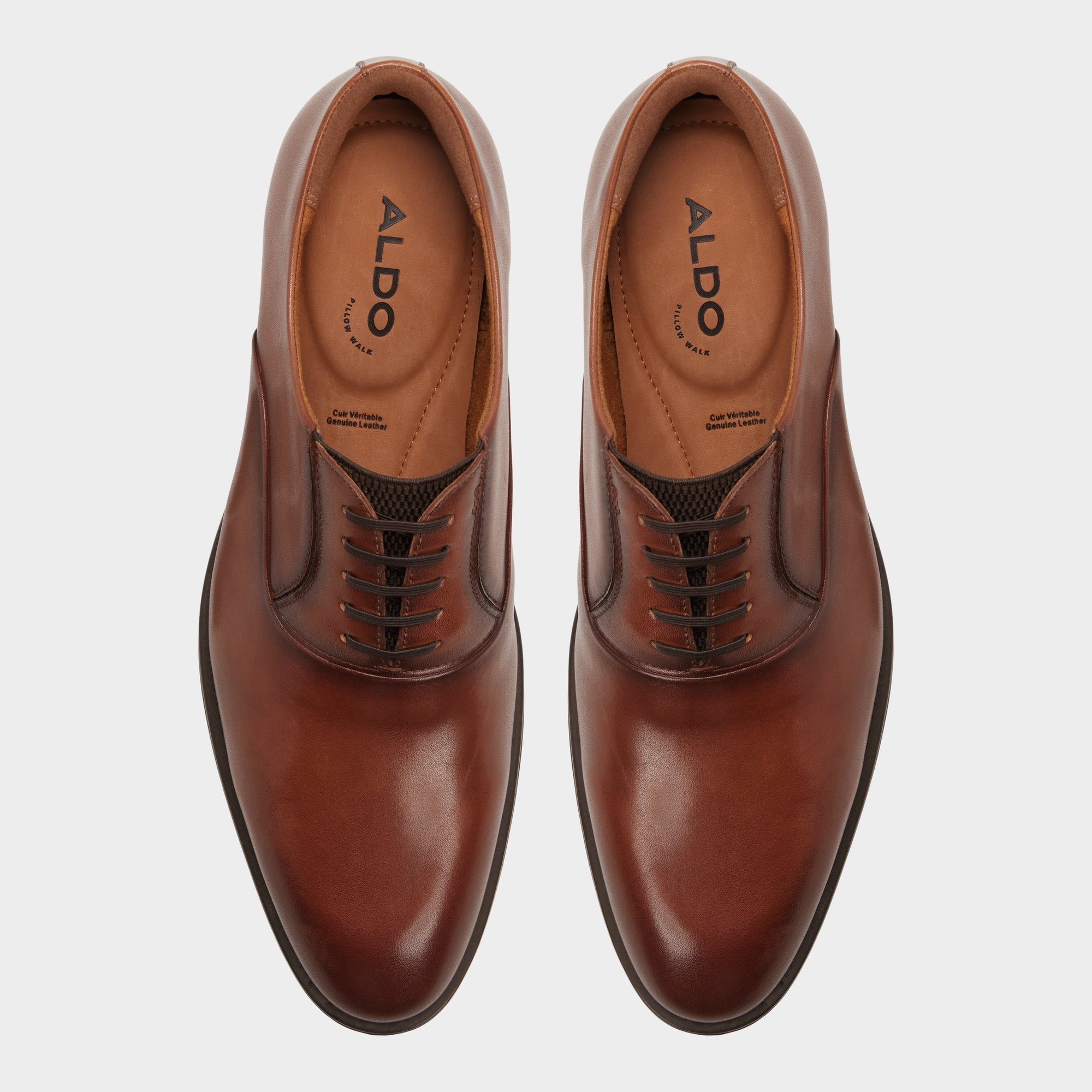 Santino – Men Cognac Derby shoe - ALDO