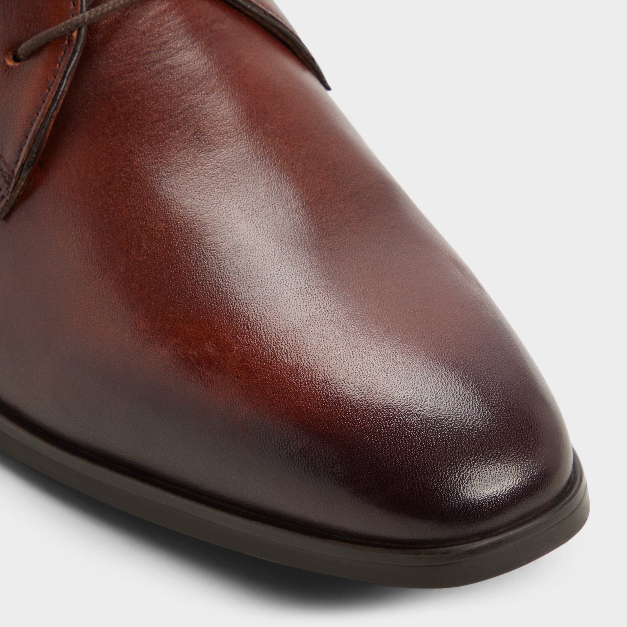 Emelio – Men Cognac Oxford shoe - ALDO