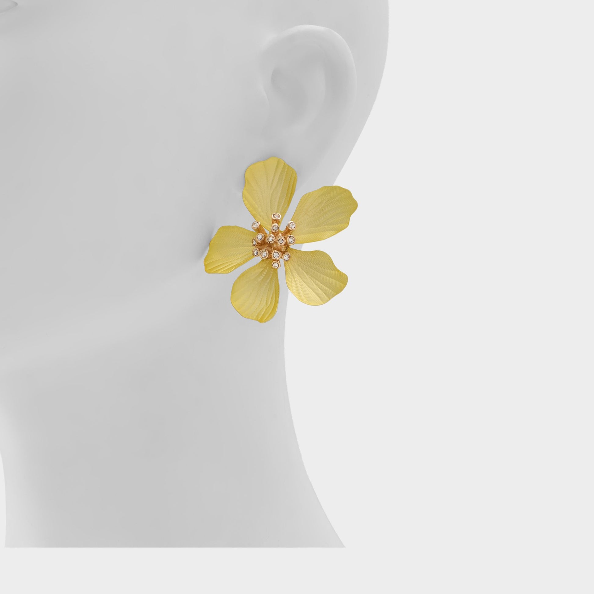 Product media for Cammelia