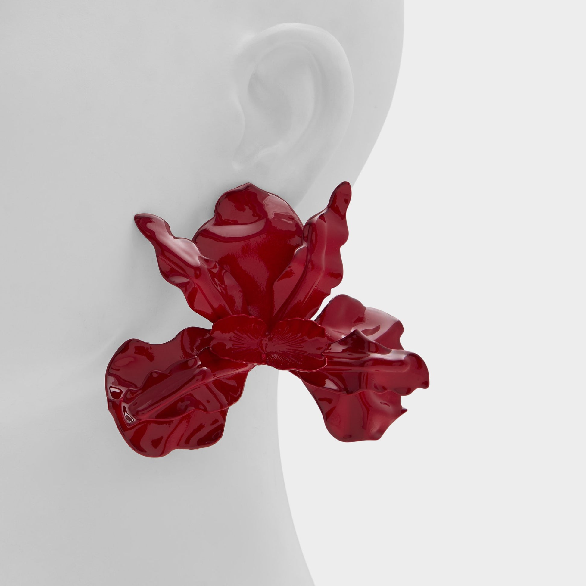 Product media for Paradisia