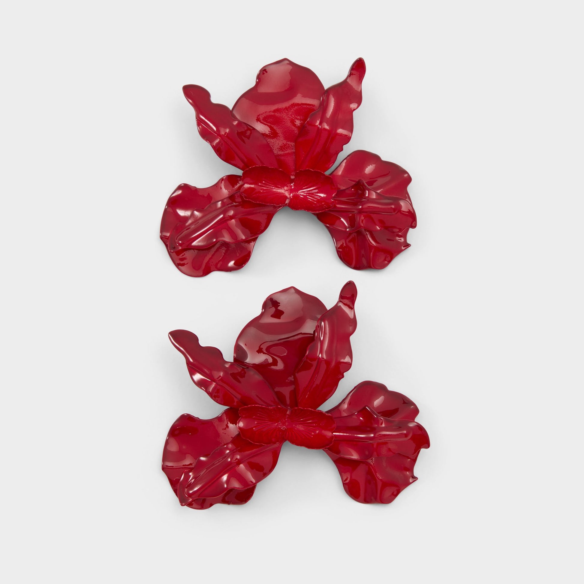 Product media for Paradisia