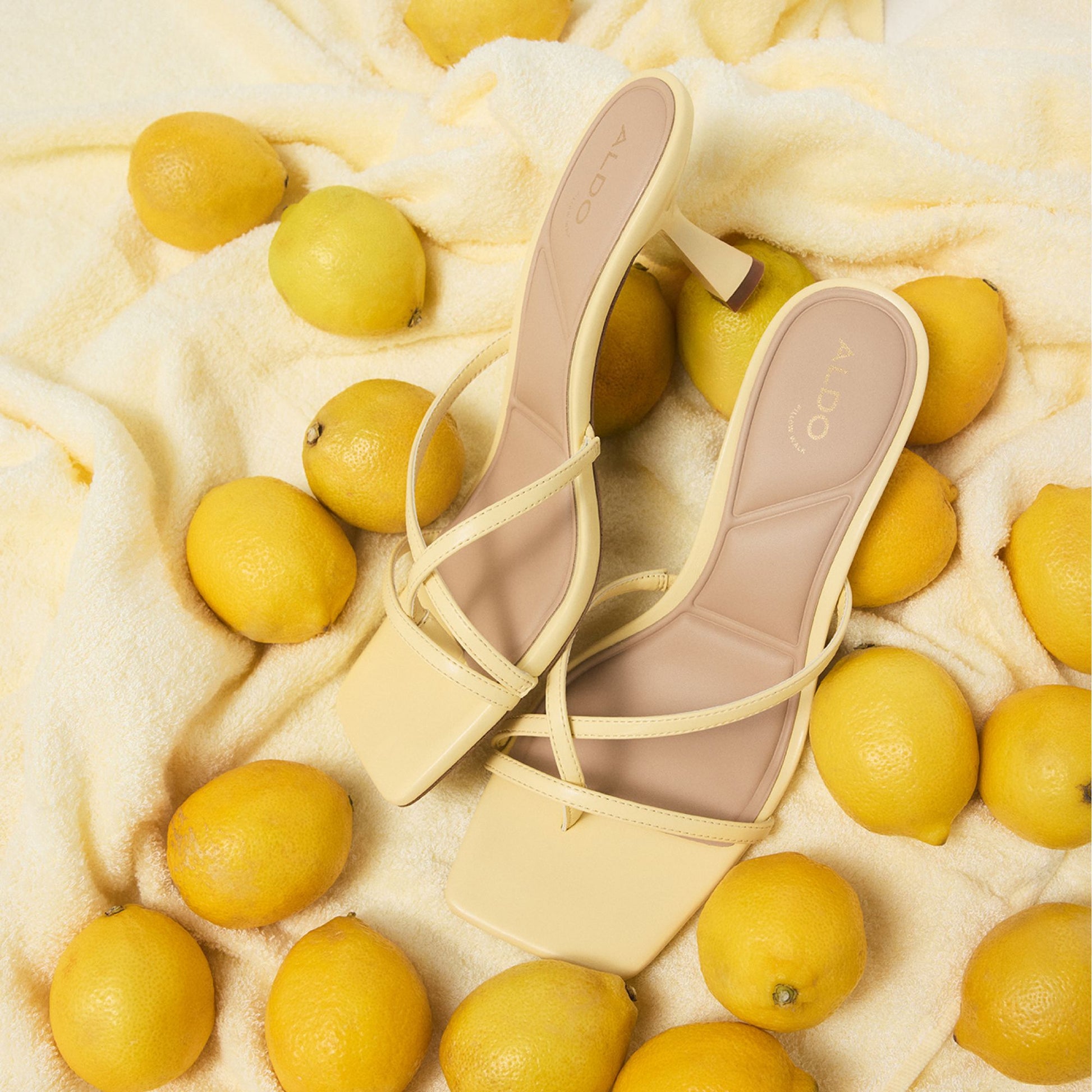 Product media for Calypsaa