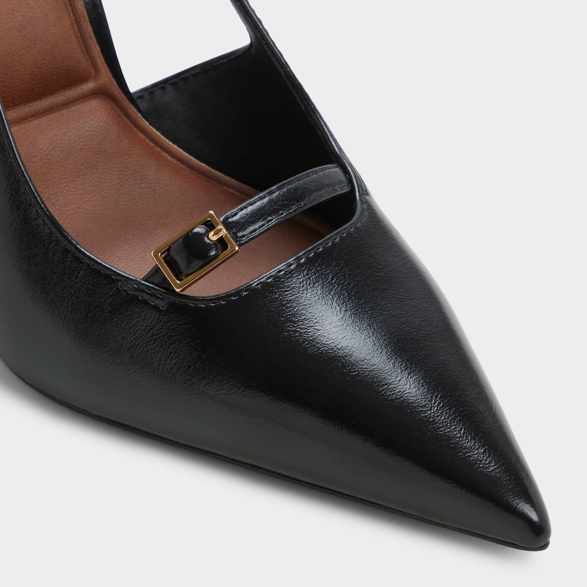 Close-up of the Black Herbey