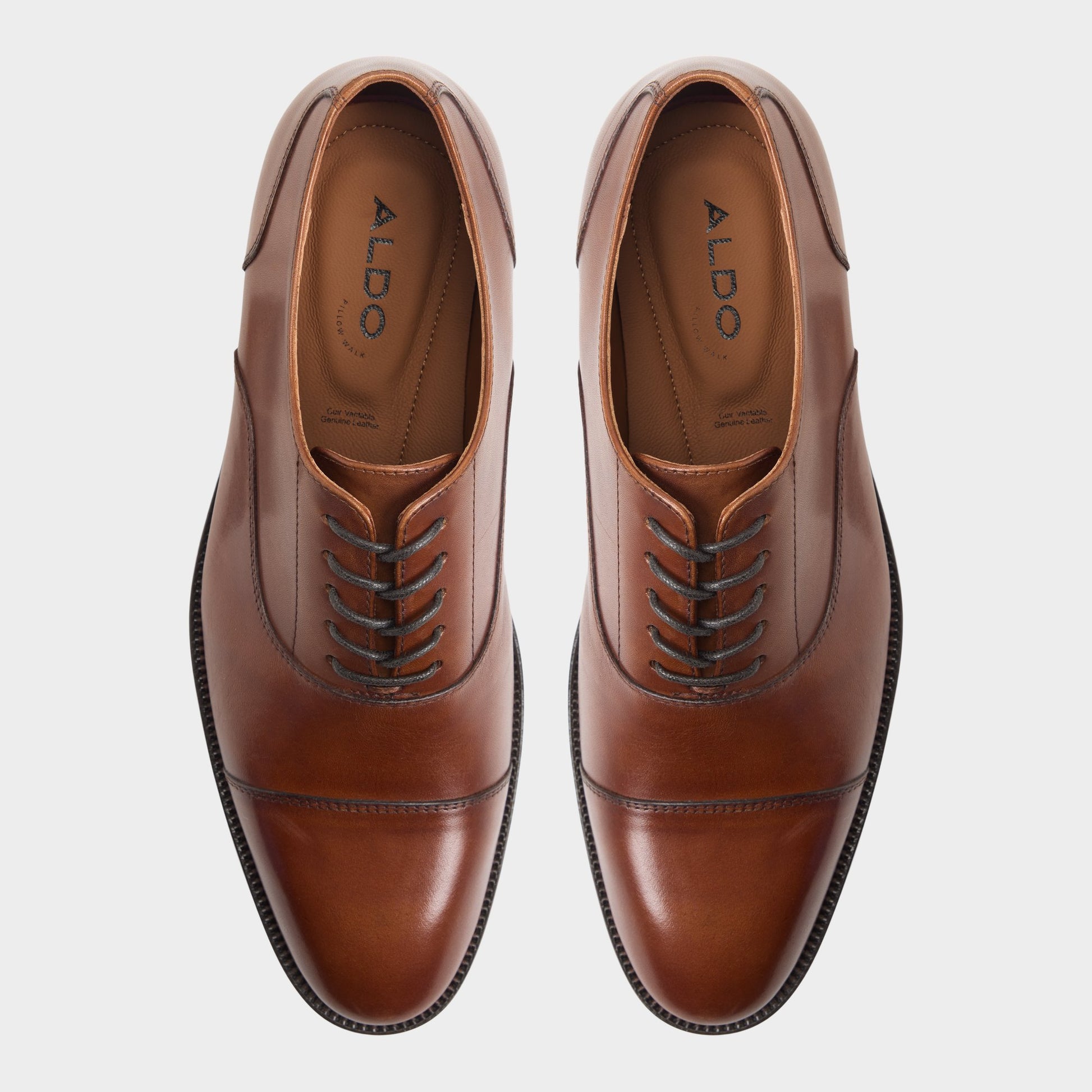 Vue de dessus de la Beige Fez Chaussure Oxford