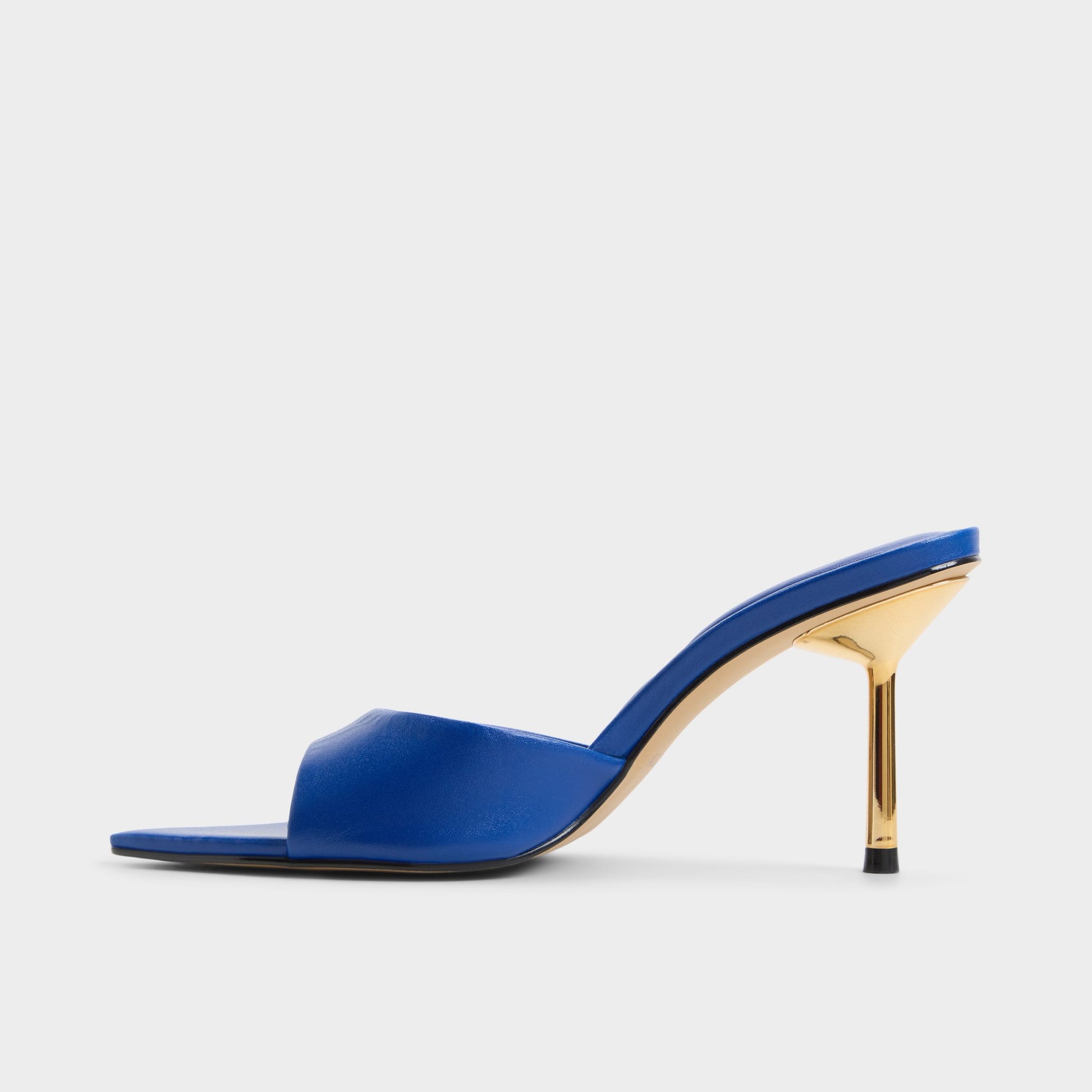 Side view of Cobalt Gloriniaa